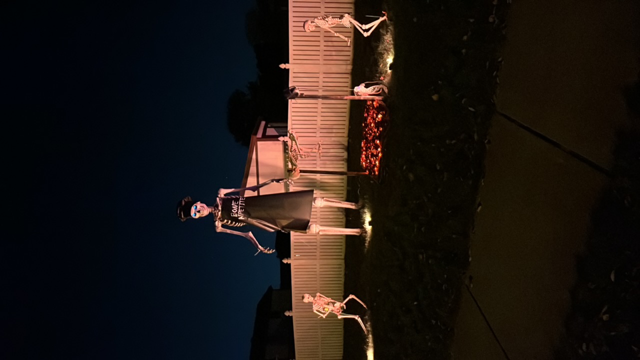skeleton BBQ