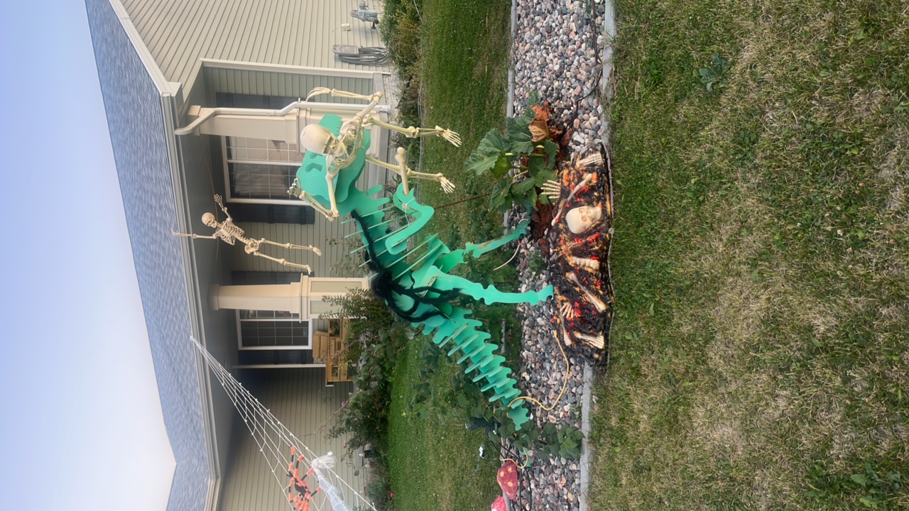 Halloween Stuff