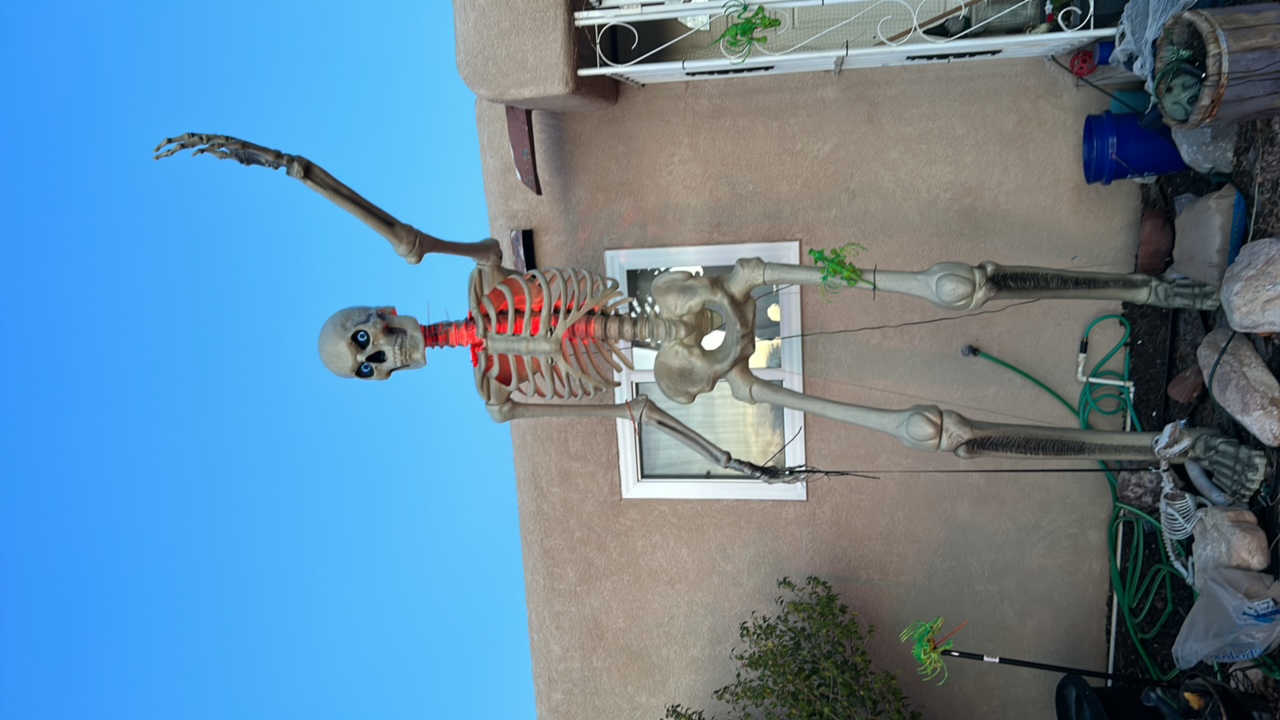 12 Ft Skeleton Bob