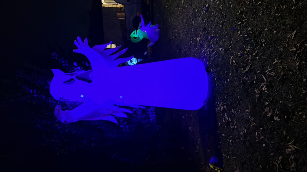 Halloween Decorations