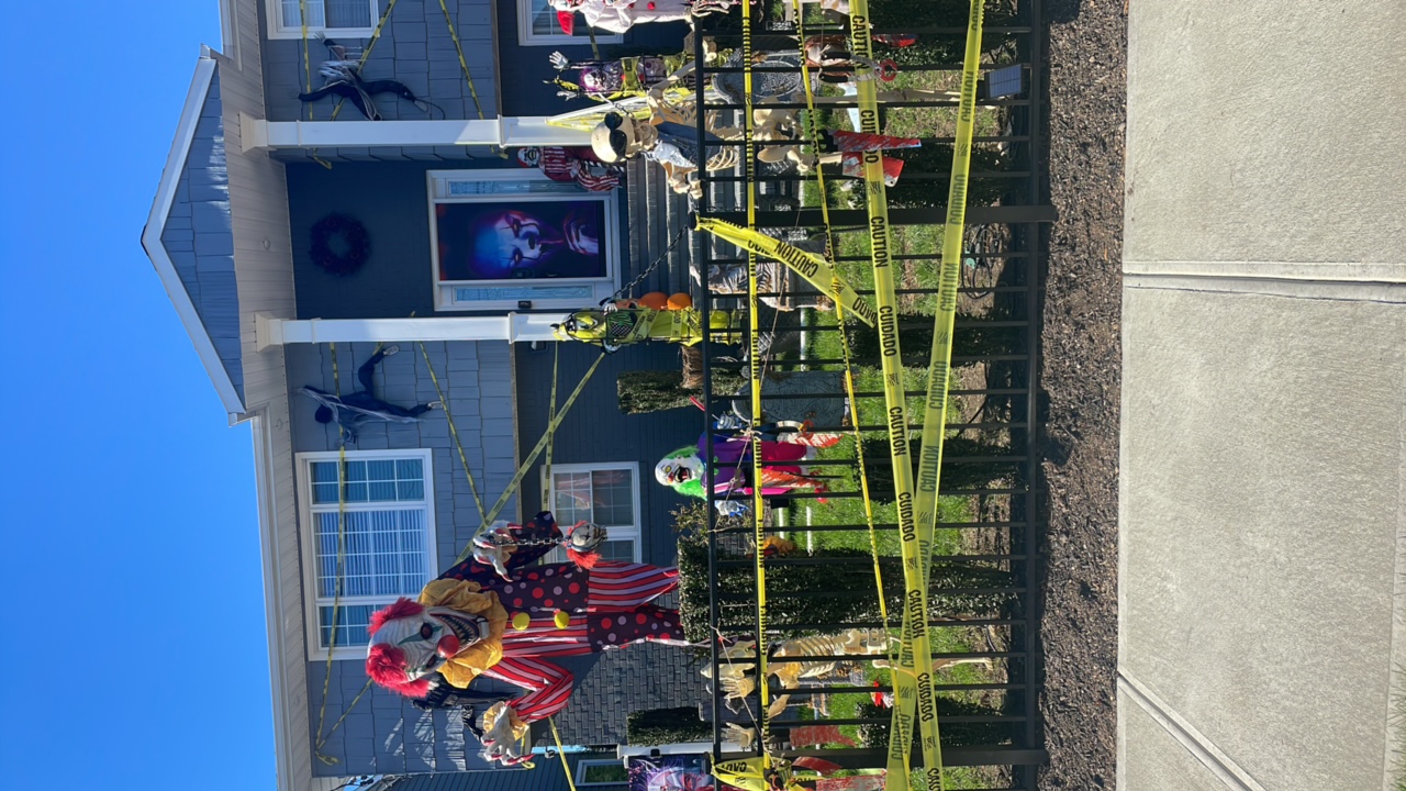 clown paradise