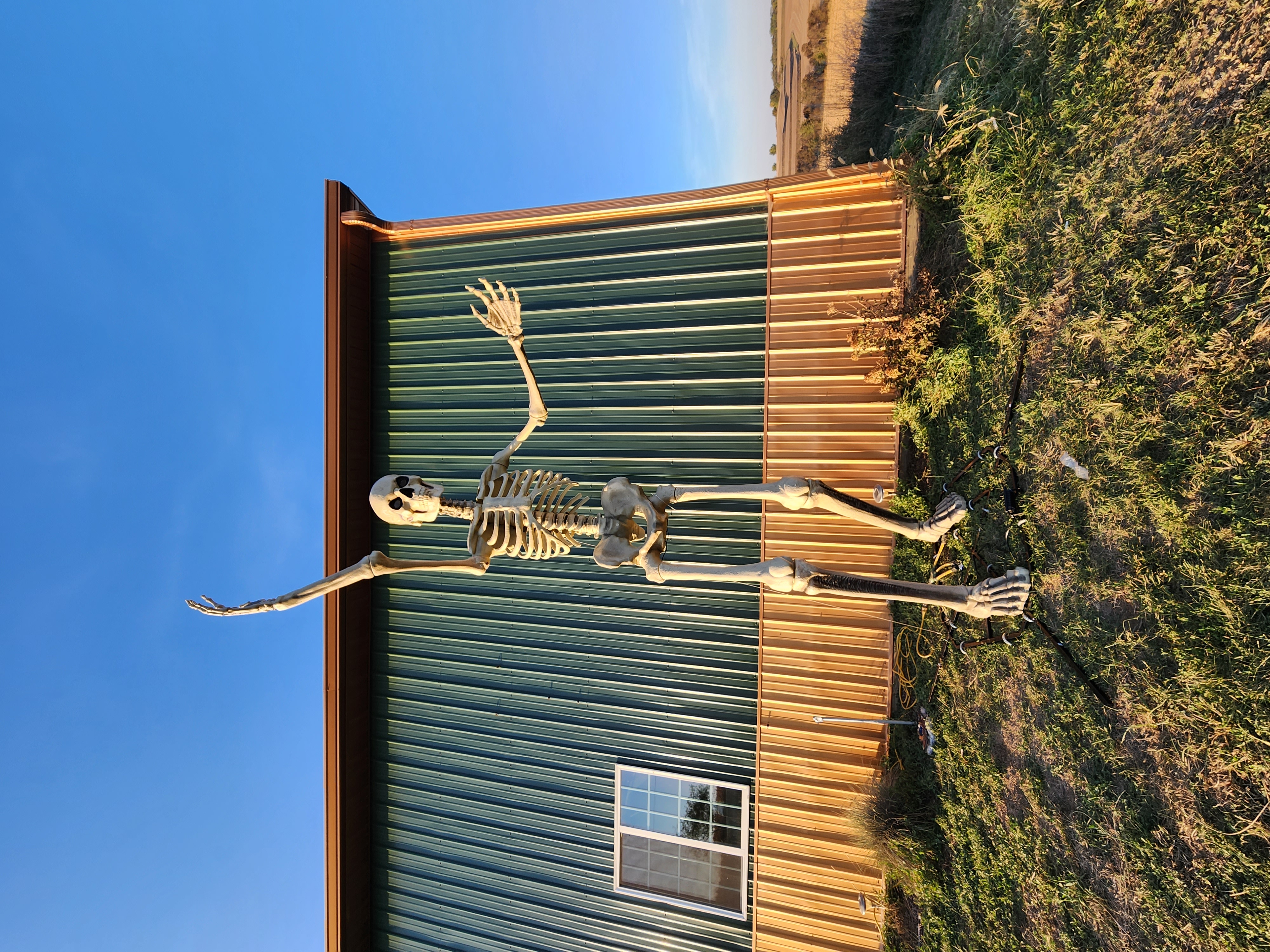 come see skelly
