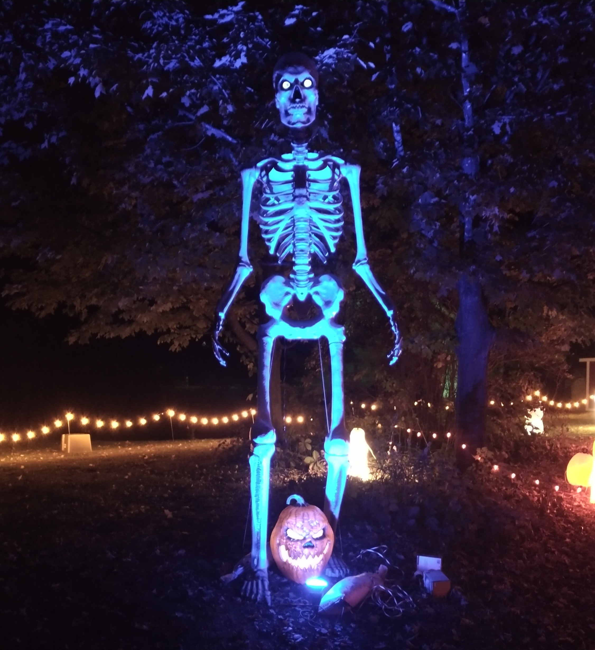 Christianson Christmas Village ( Halloween)