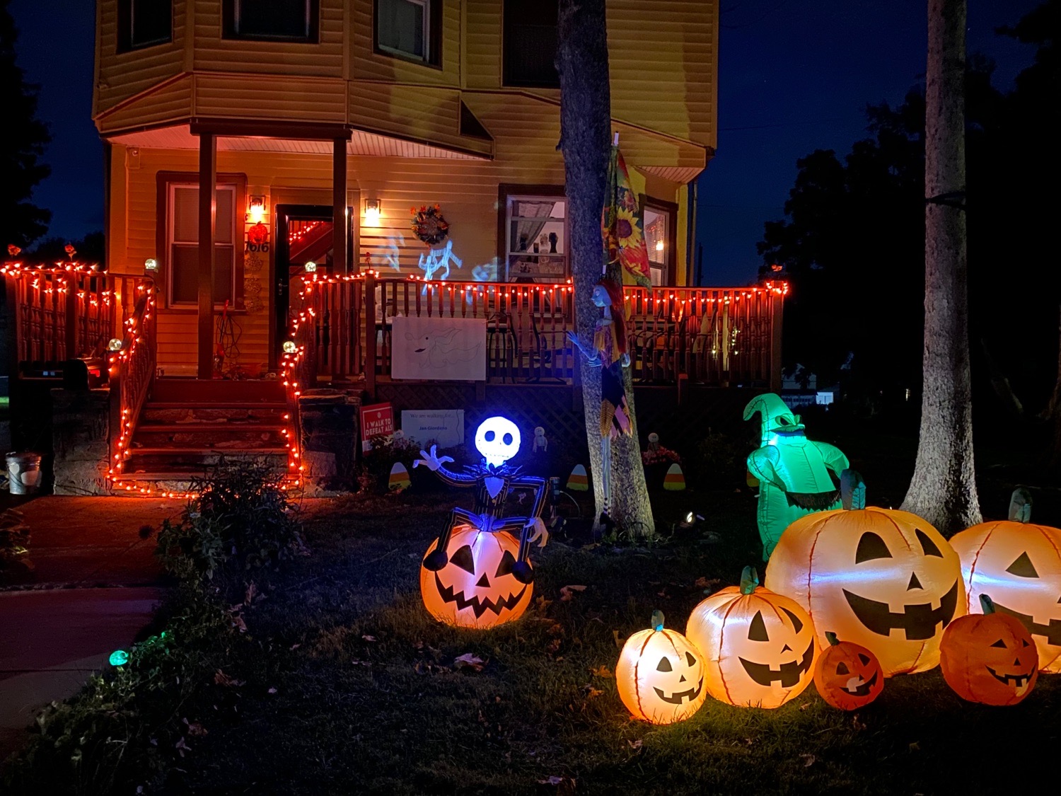 jack’s Pumpkin patch