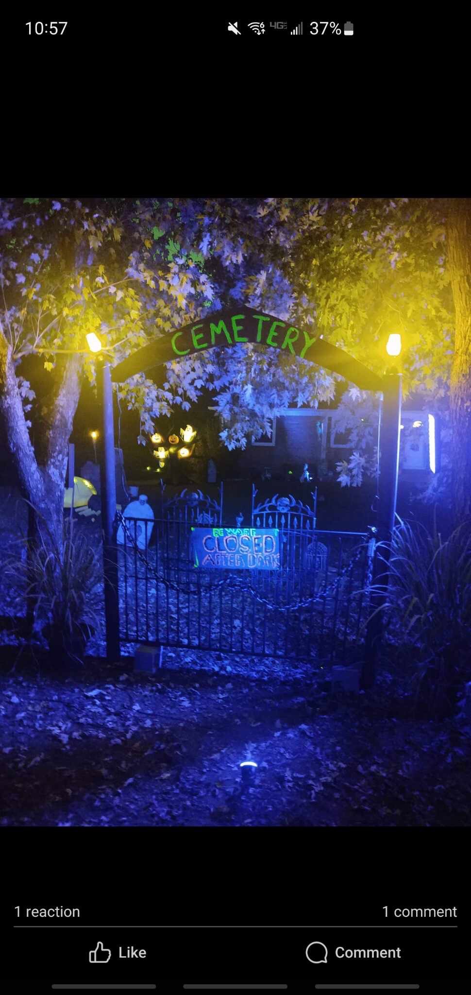 Freeland Frankensteins and Hipps Haunts