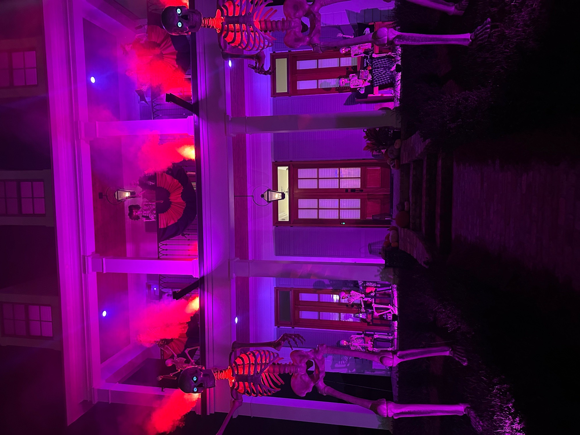 house of skellies