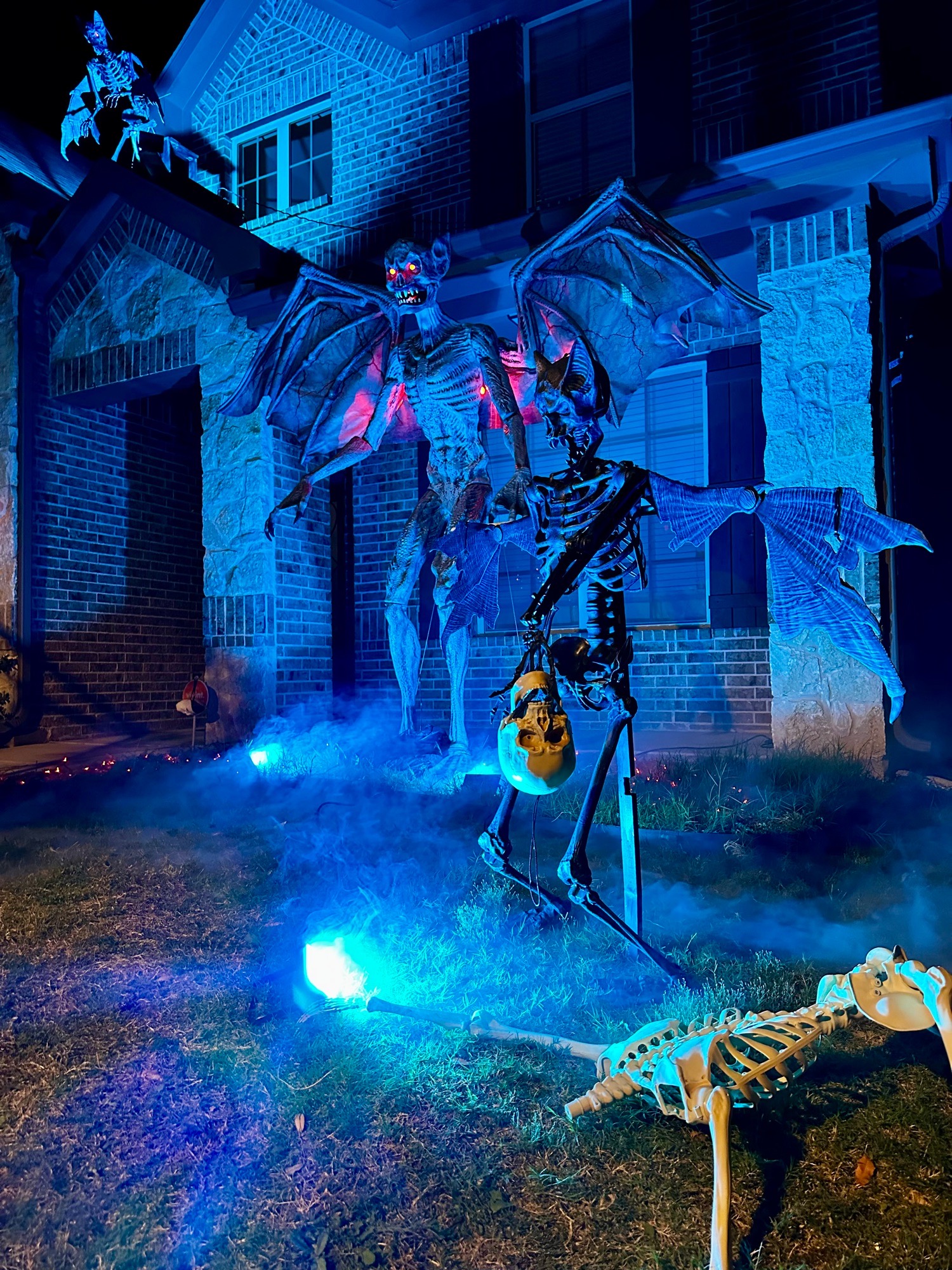 flying creatures of the Night