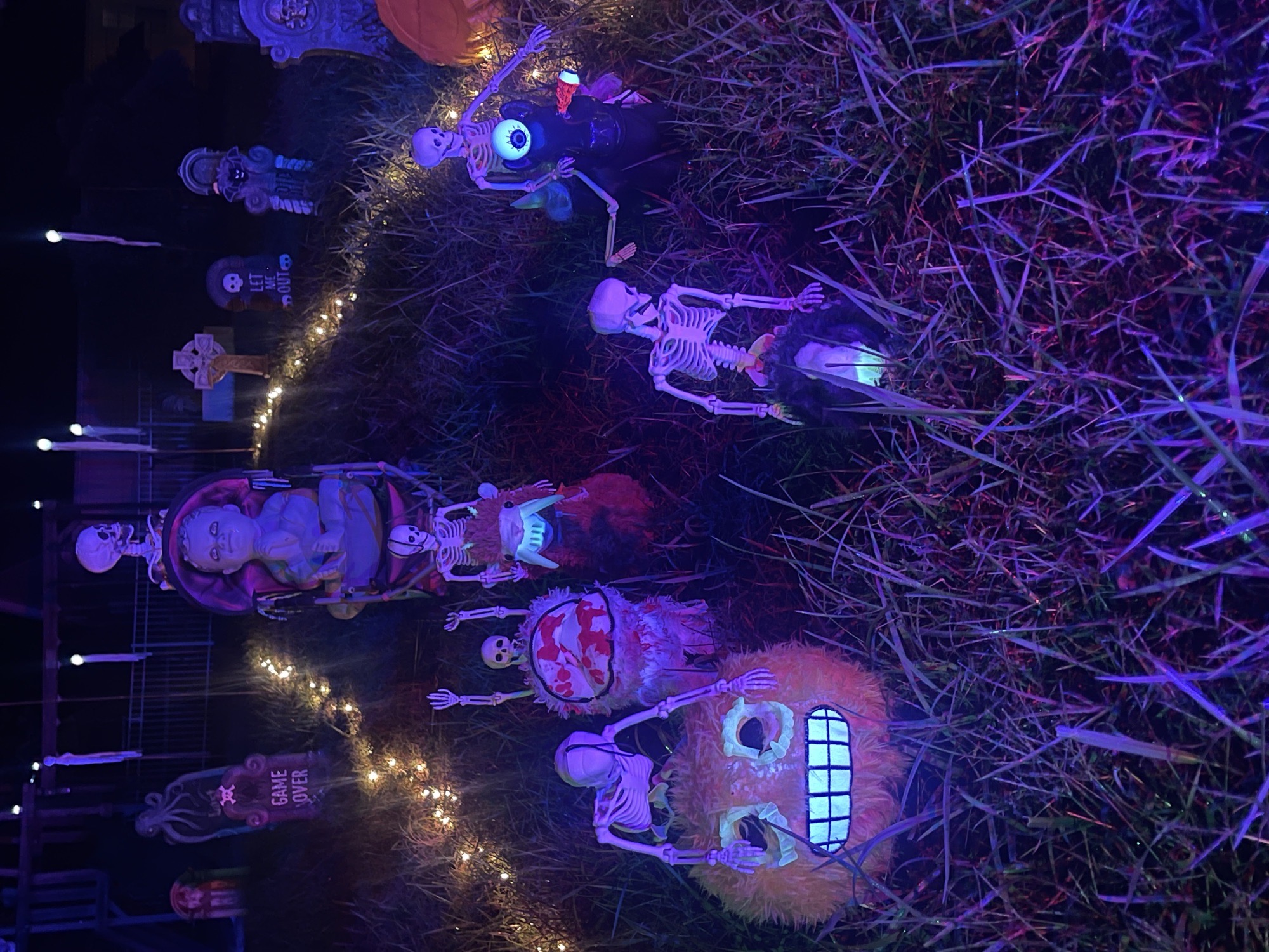 Scary Eclectic