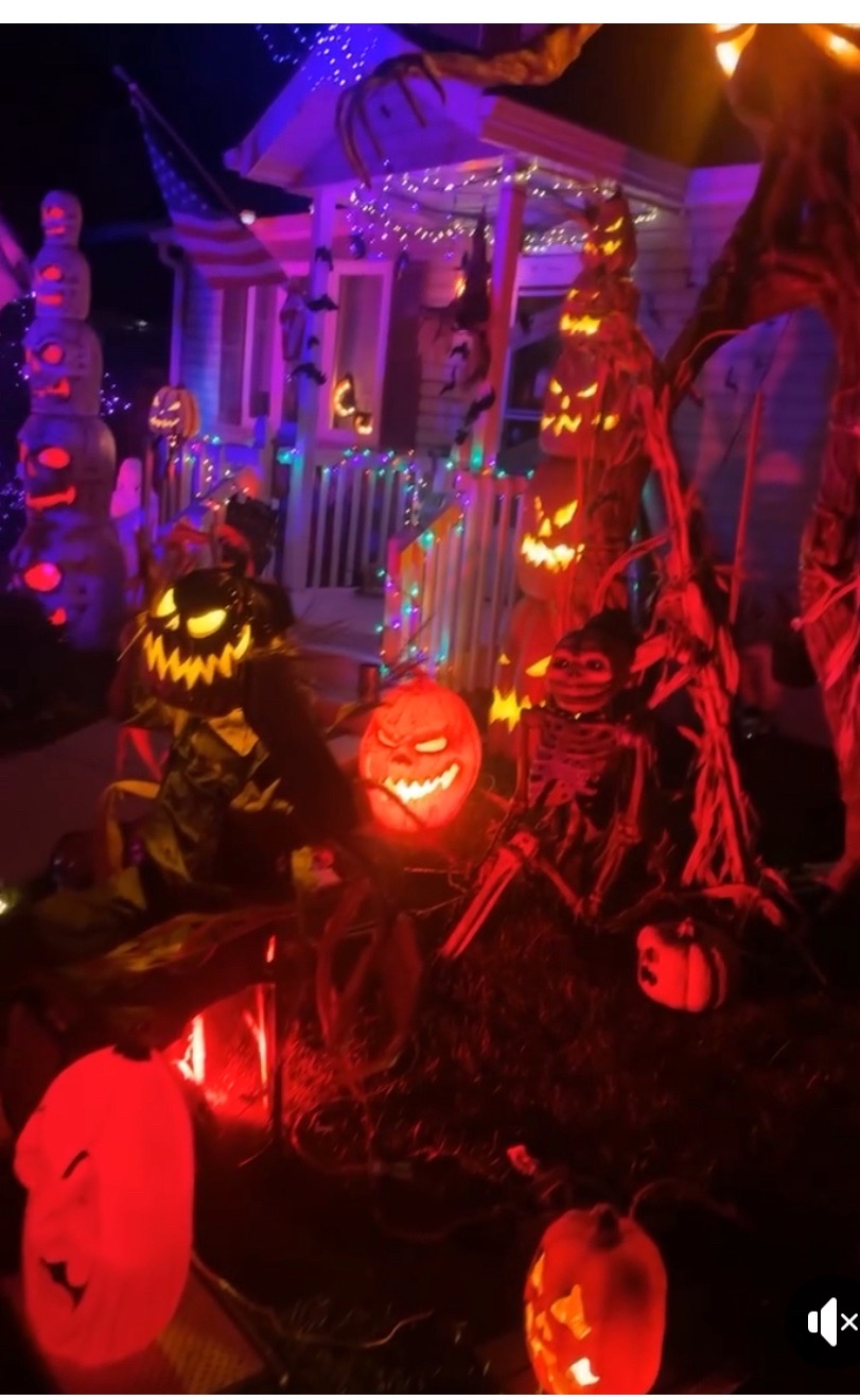 the spooky bunch