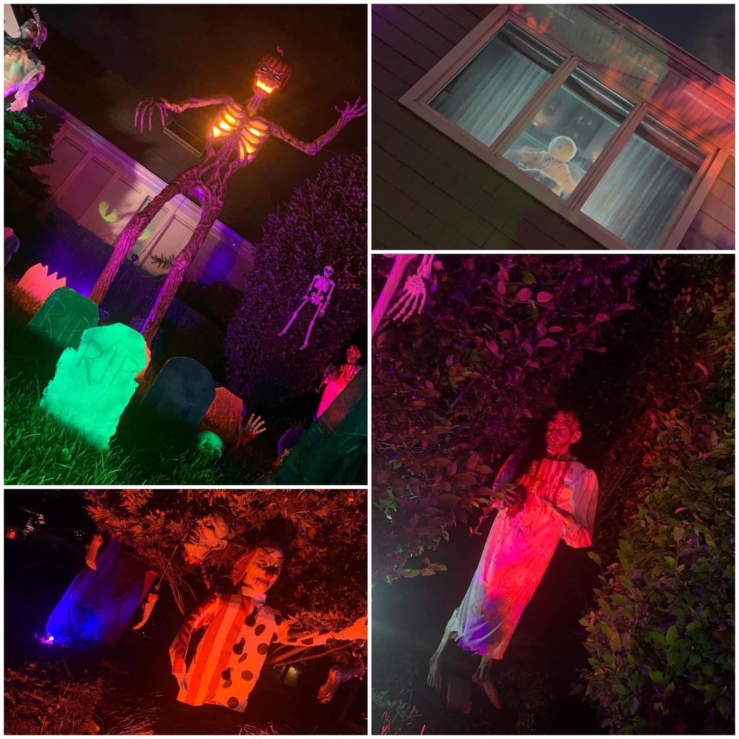 extreme oceanside halloween display & Show