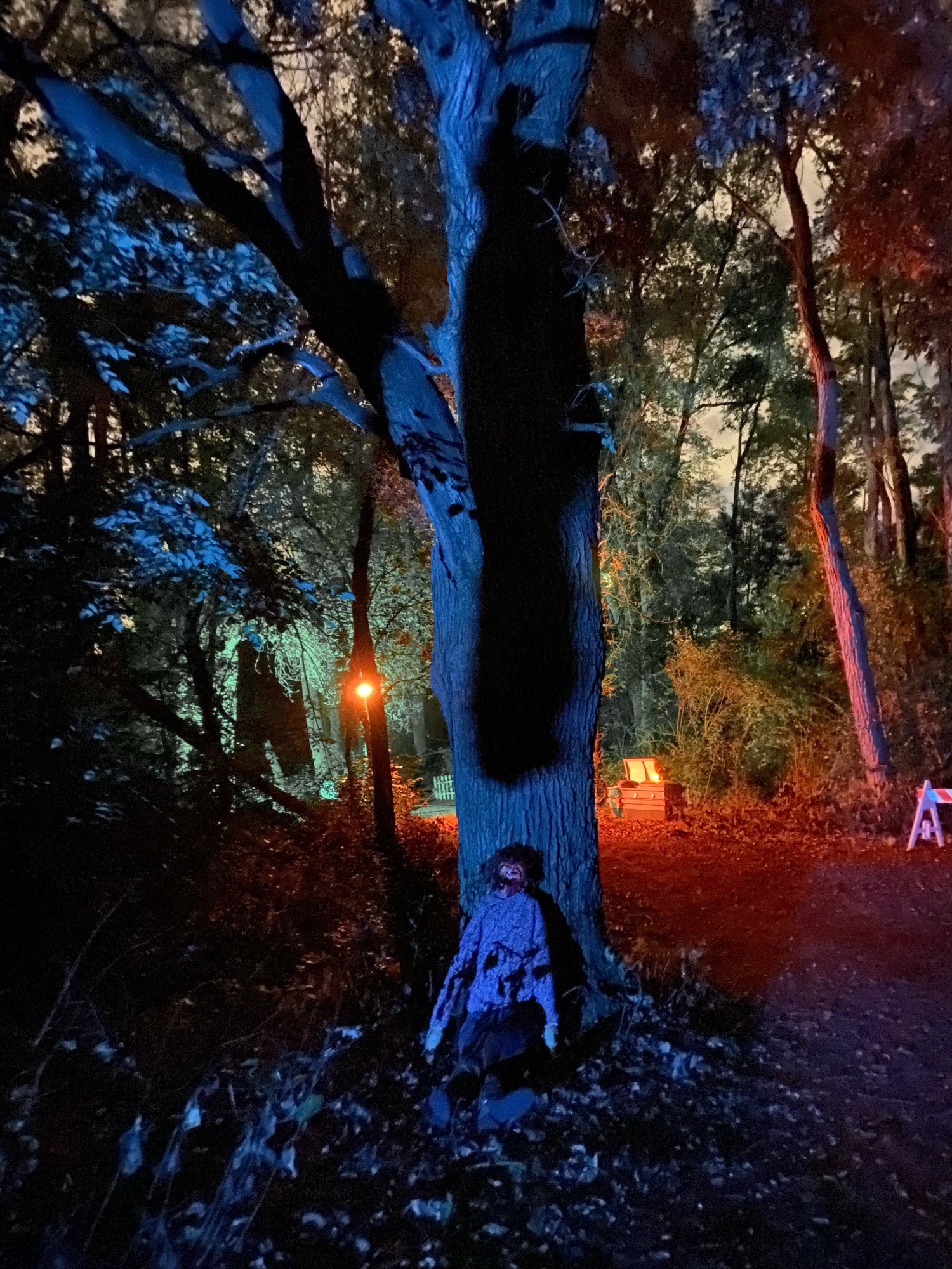spooky trail