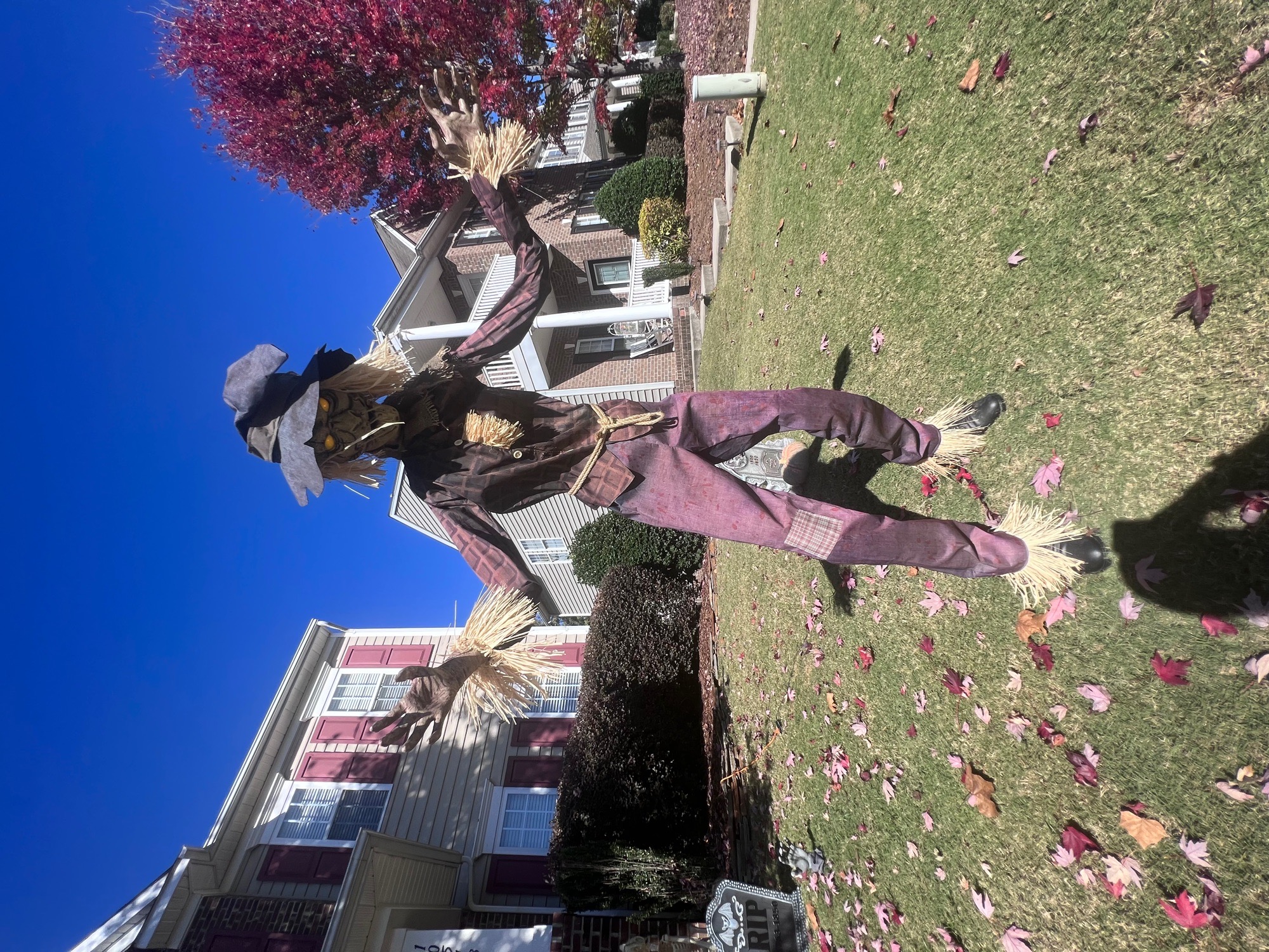 haunted graveyard situation
