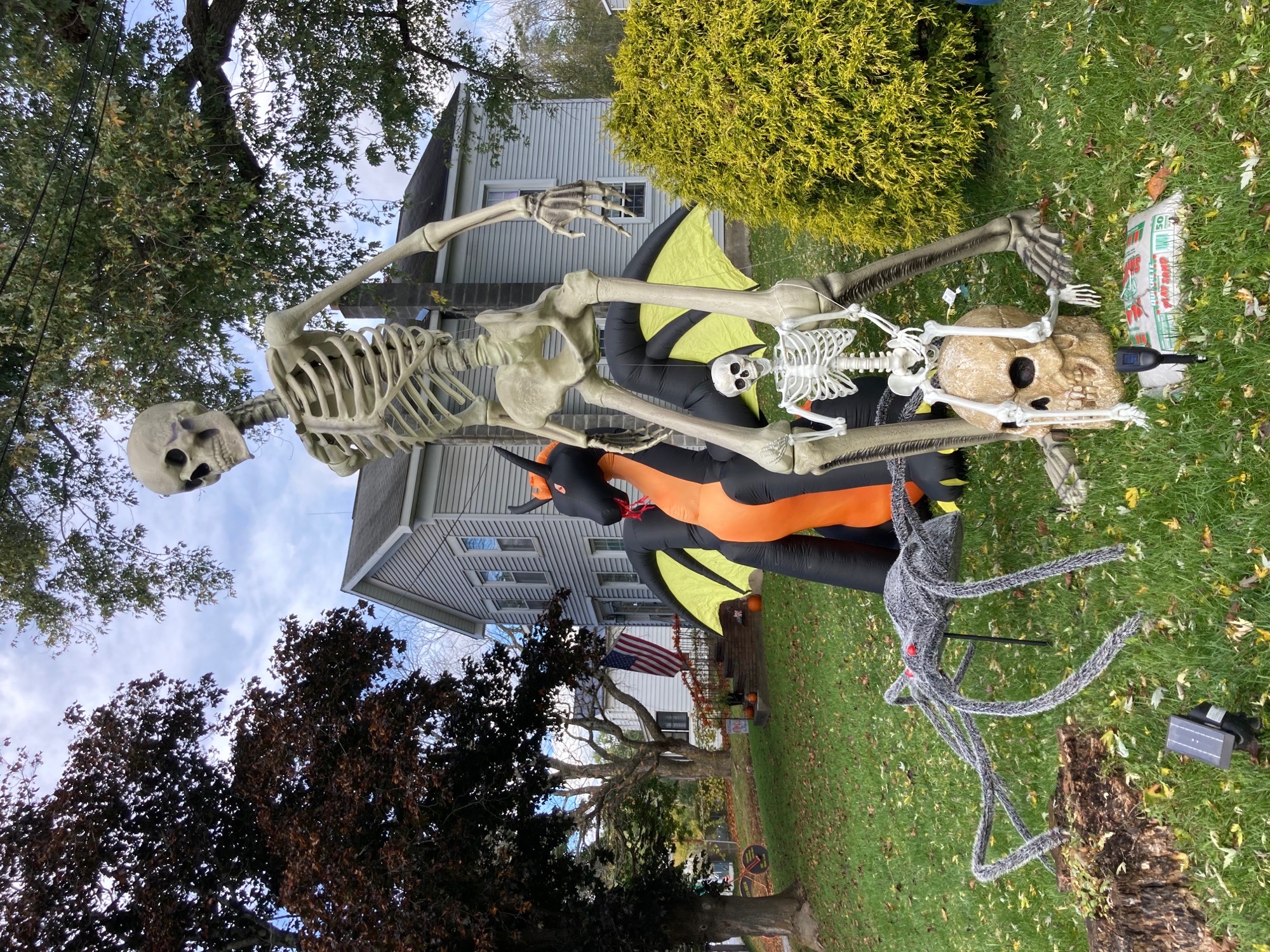 skellies on 20