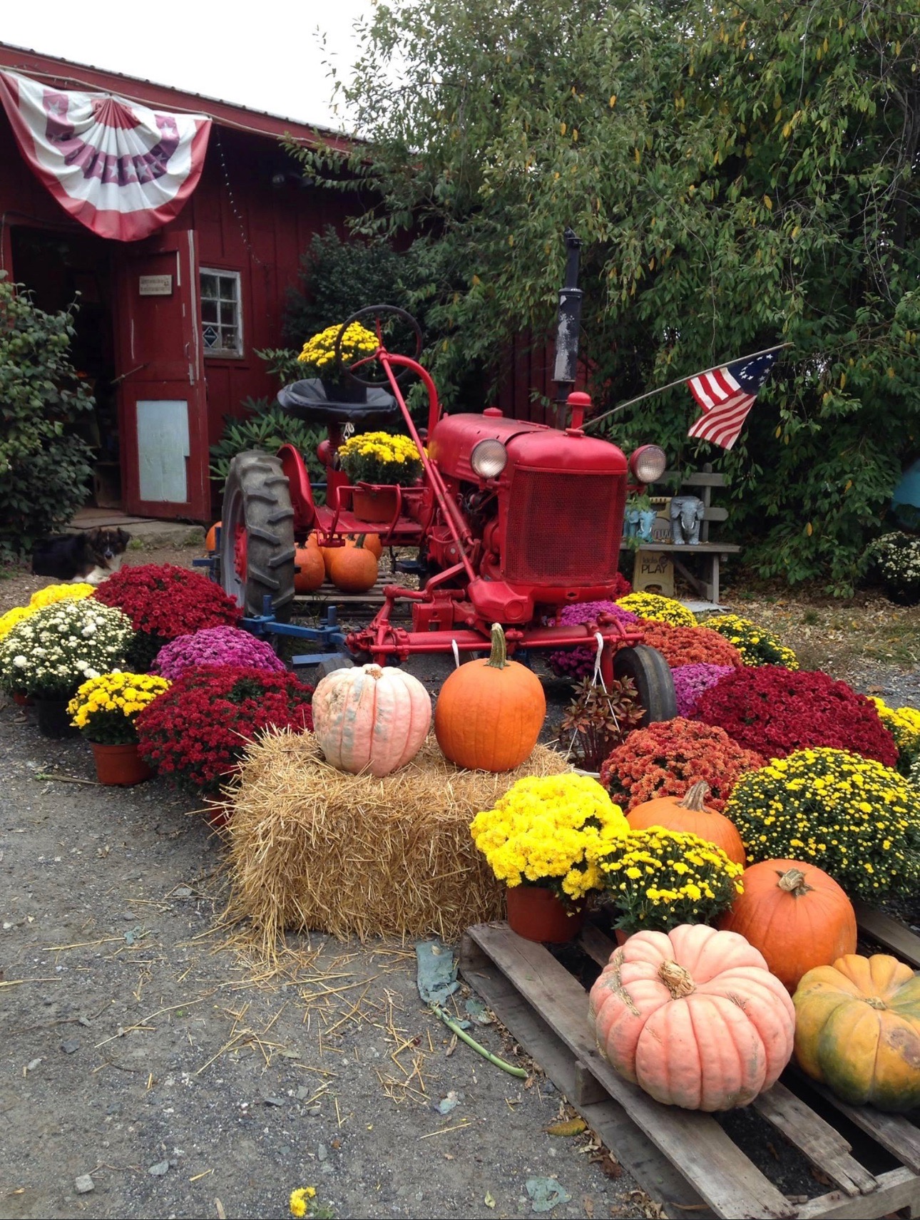 Thornbury Farms CSA