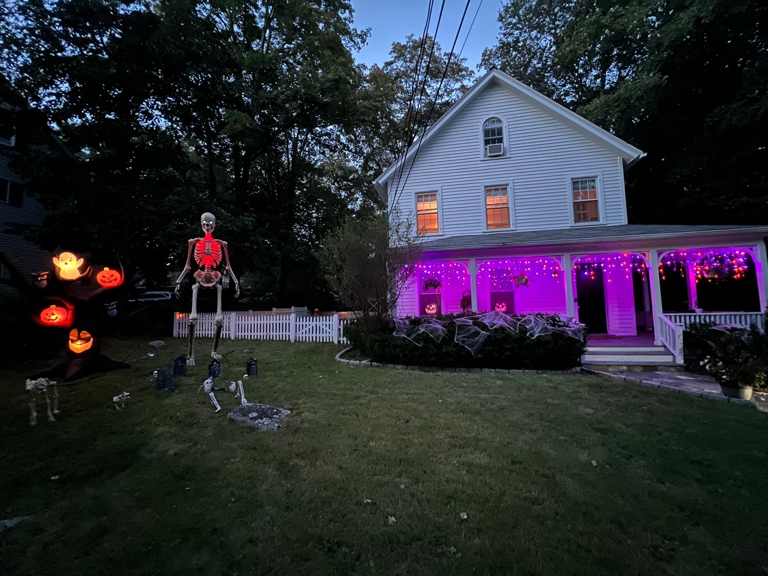 skelly house