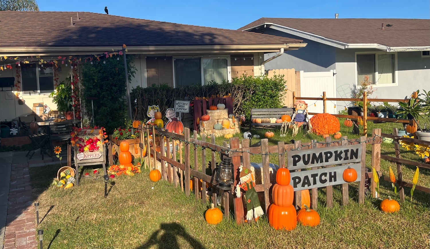 Cabrillo neighborhood pumpkin patch