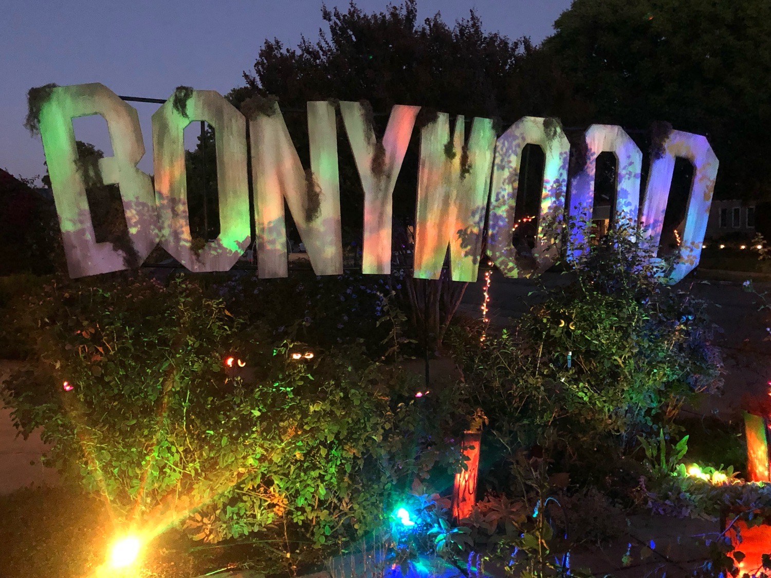 Bonywood
