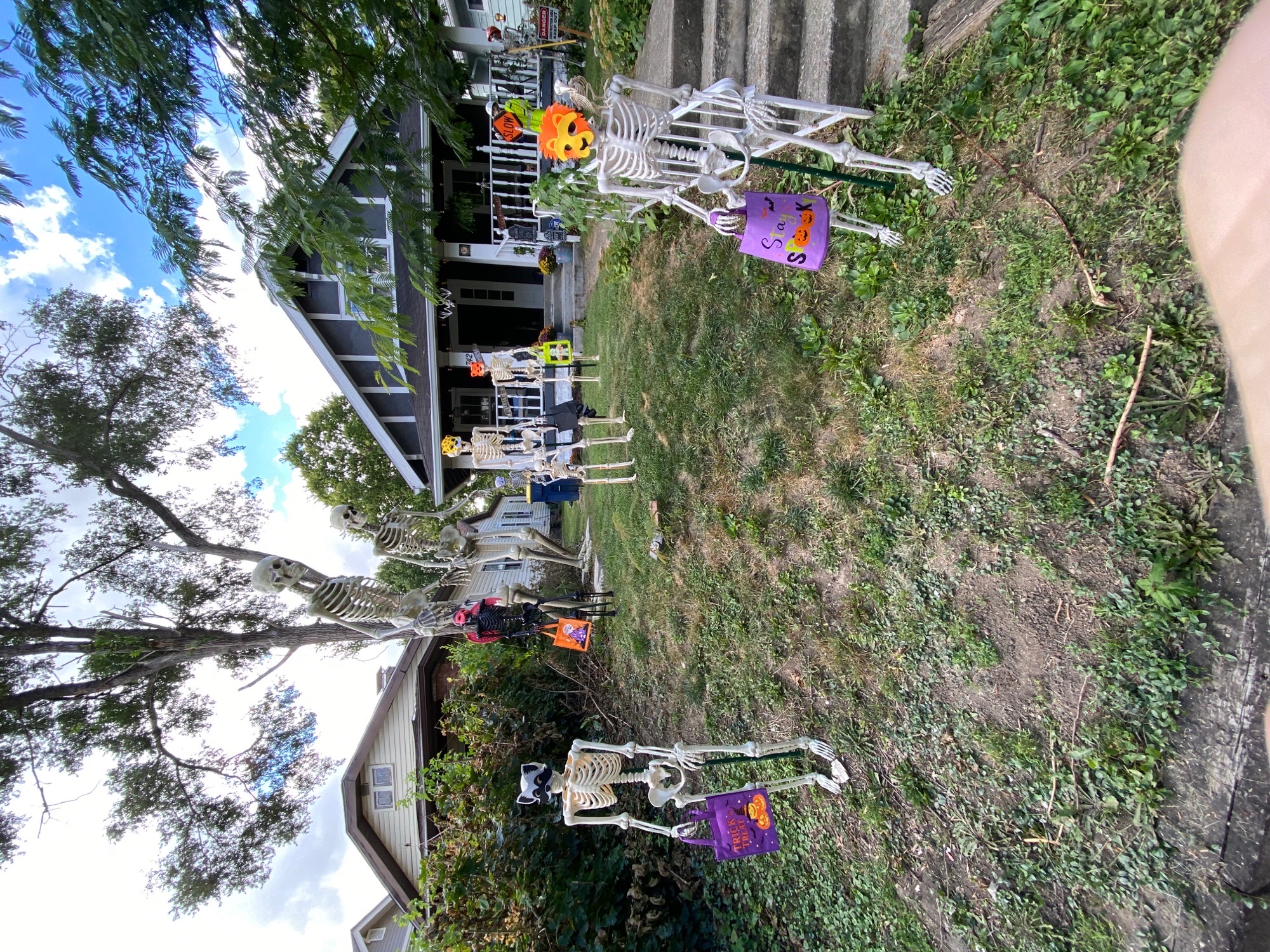 trick or treaters