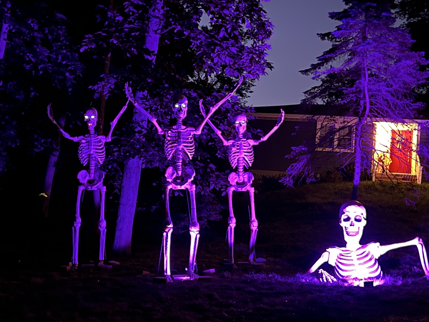 A Nightmare on White Birch Lane