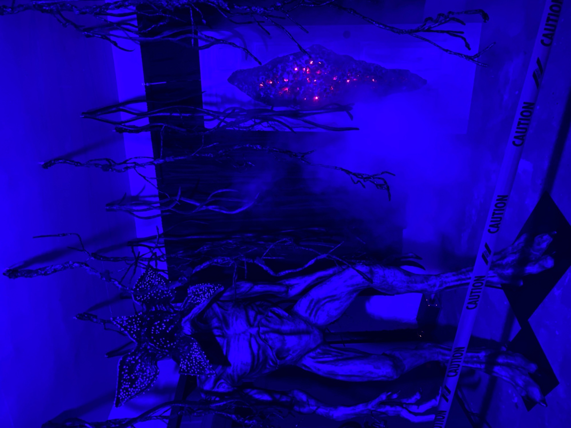 MAYHEM AT MYers manor