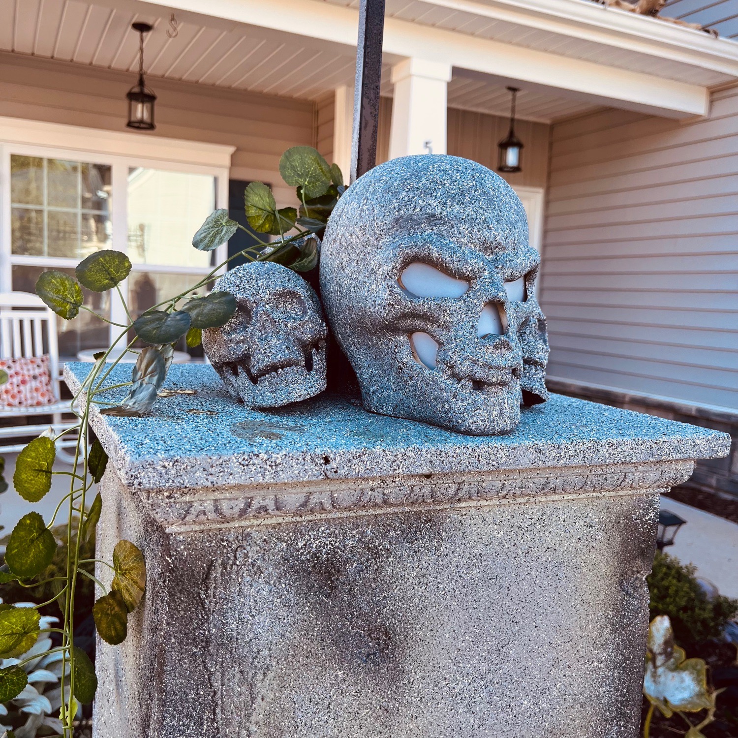 Hallowed gourd