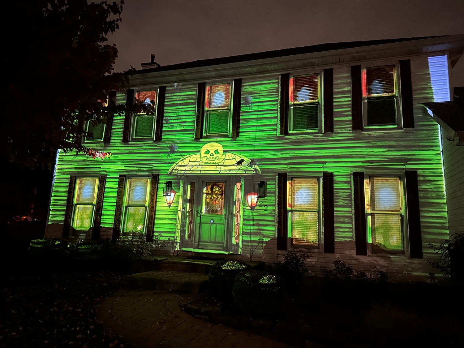 video projection house