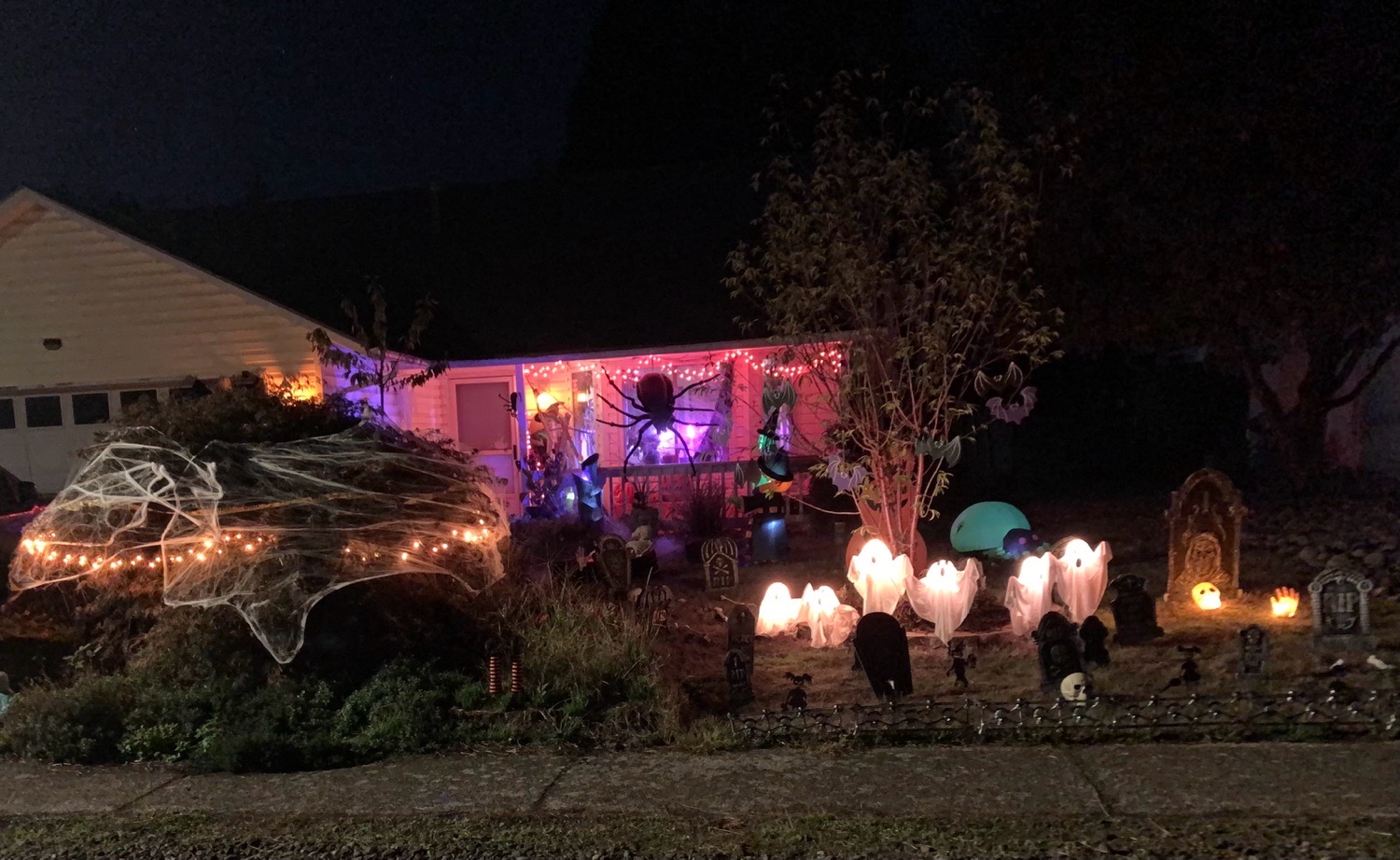 Dog House Graveyard