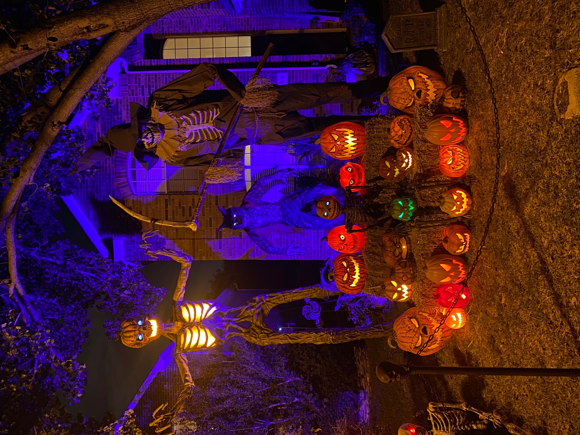 Bella Vista rotten Pumpkin patch
