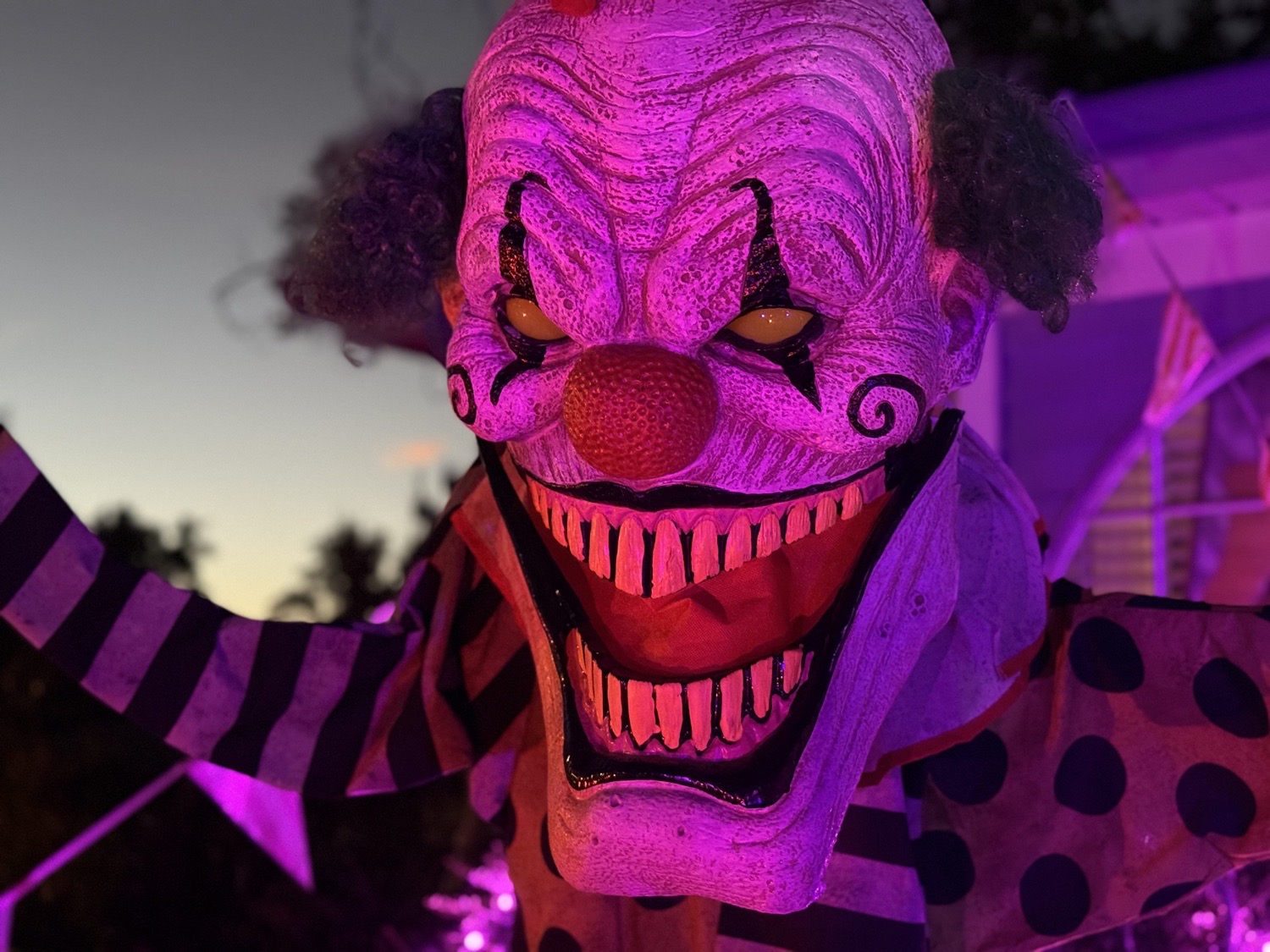 Carrollton Clown House