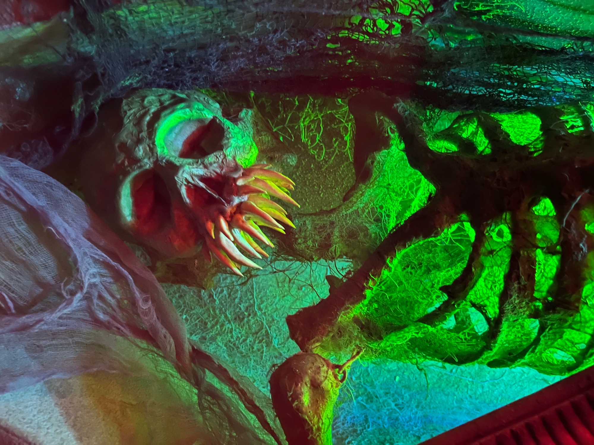 coastal Screams yard haunt