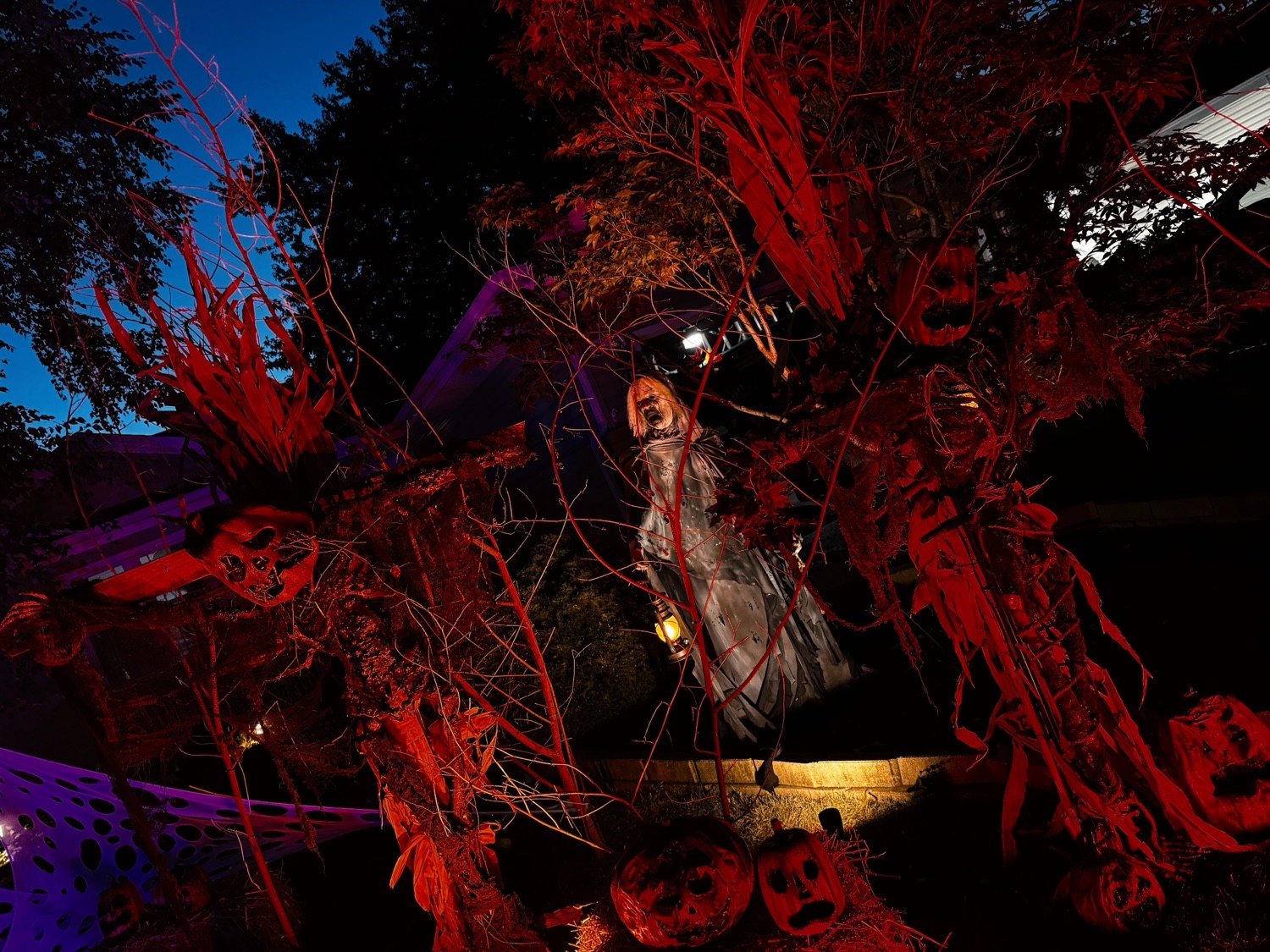 witch of the woods productions