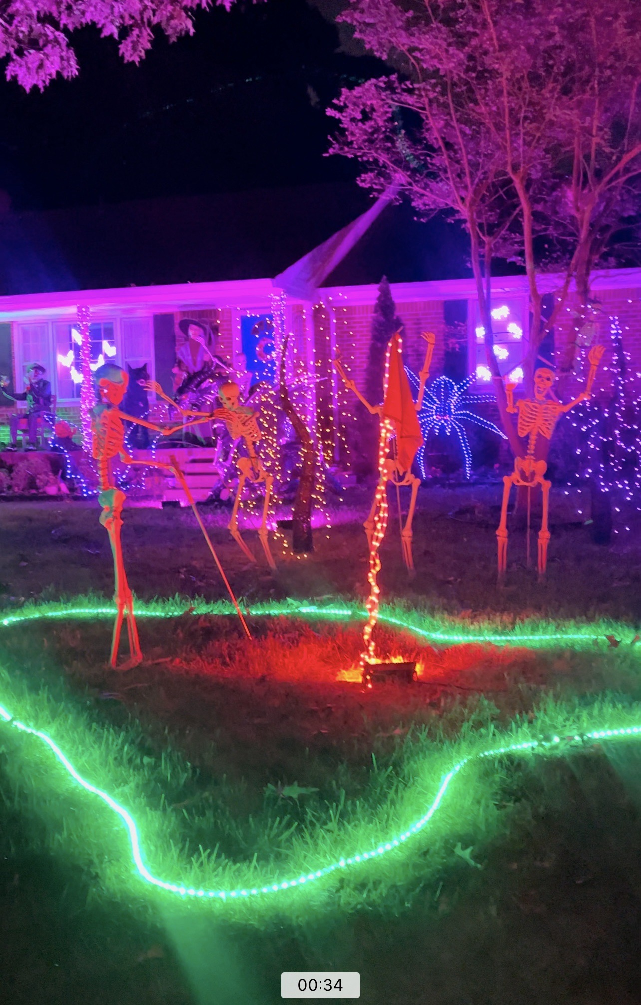 Lawson’s Spooky friends