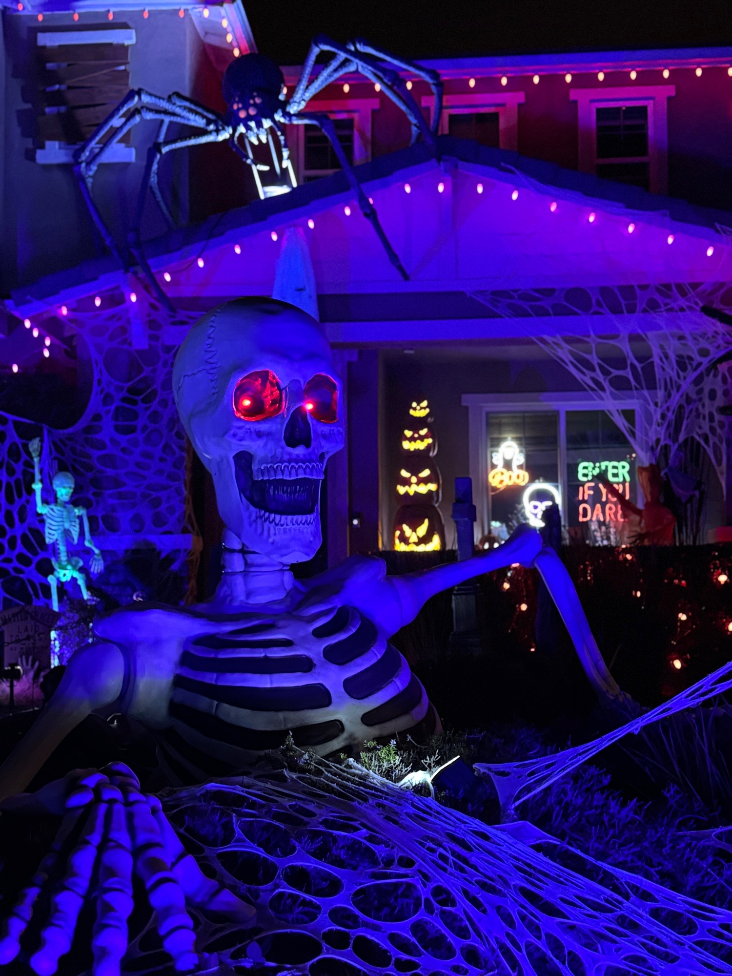 @Oceansidespiderhouse
