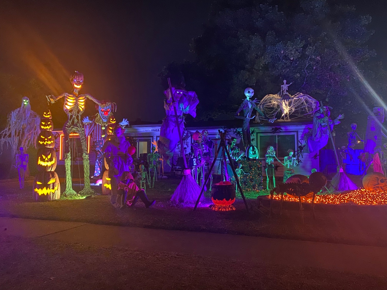 Animatronic land
