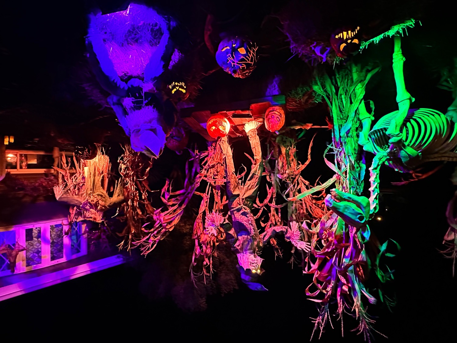 Kollar Halloween house