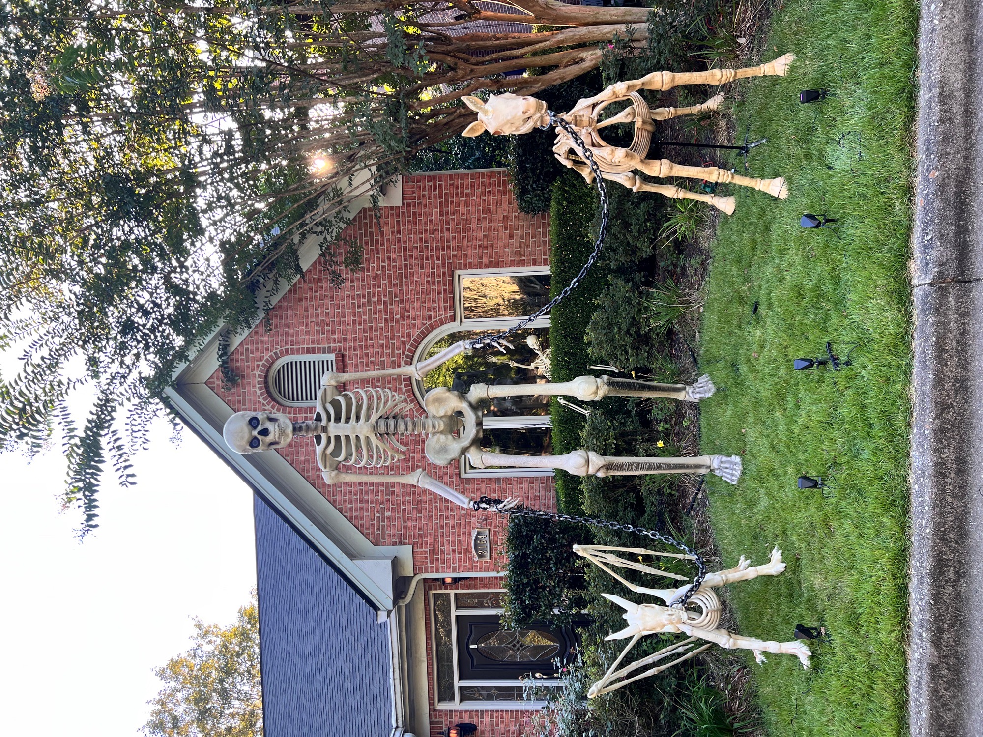 skeleton takeover