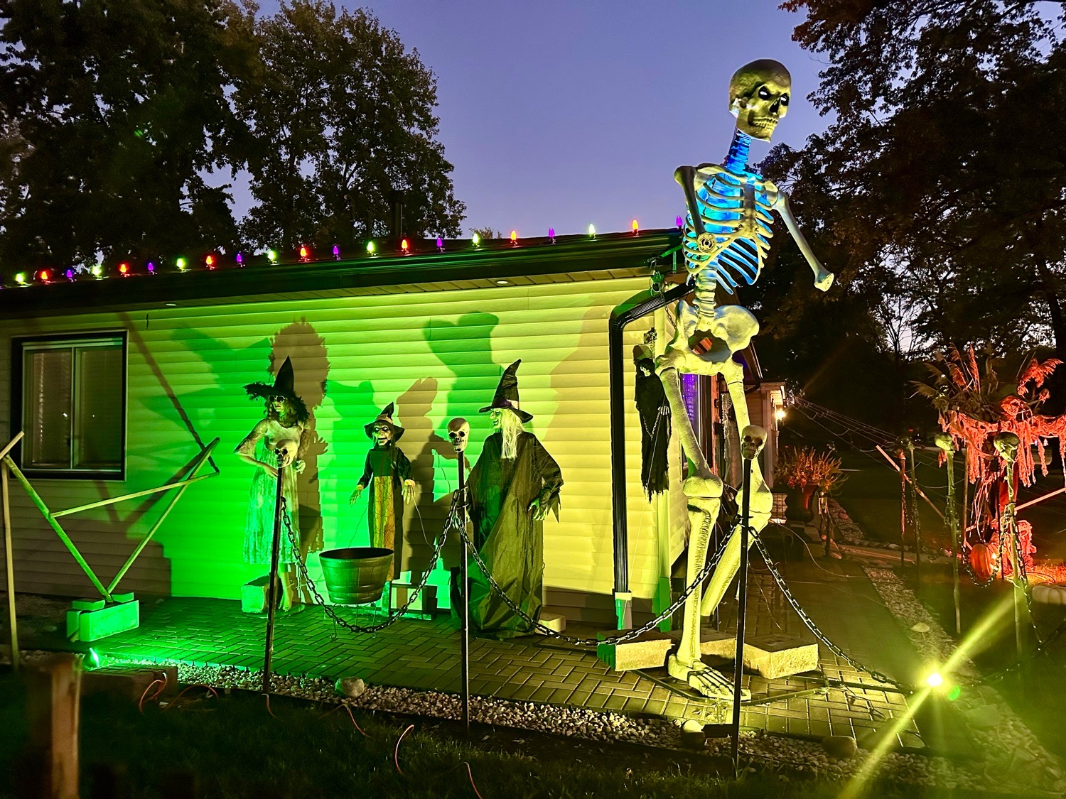 12ft skelly