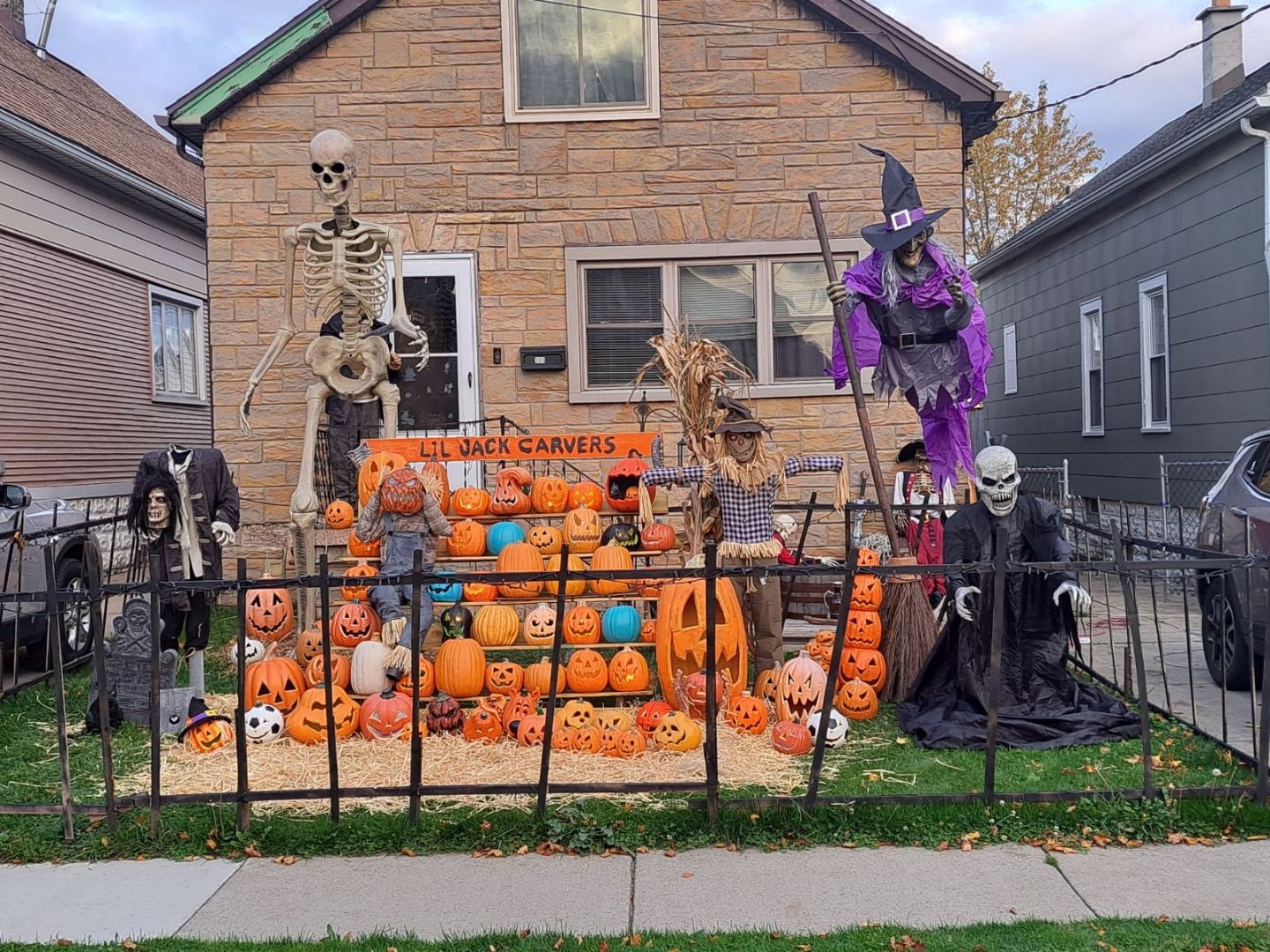 jack carvers pumpkin patch