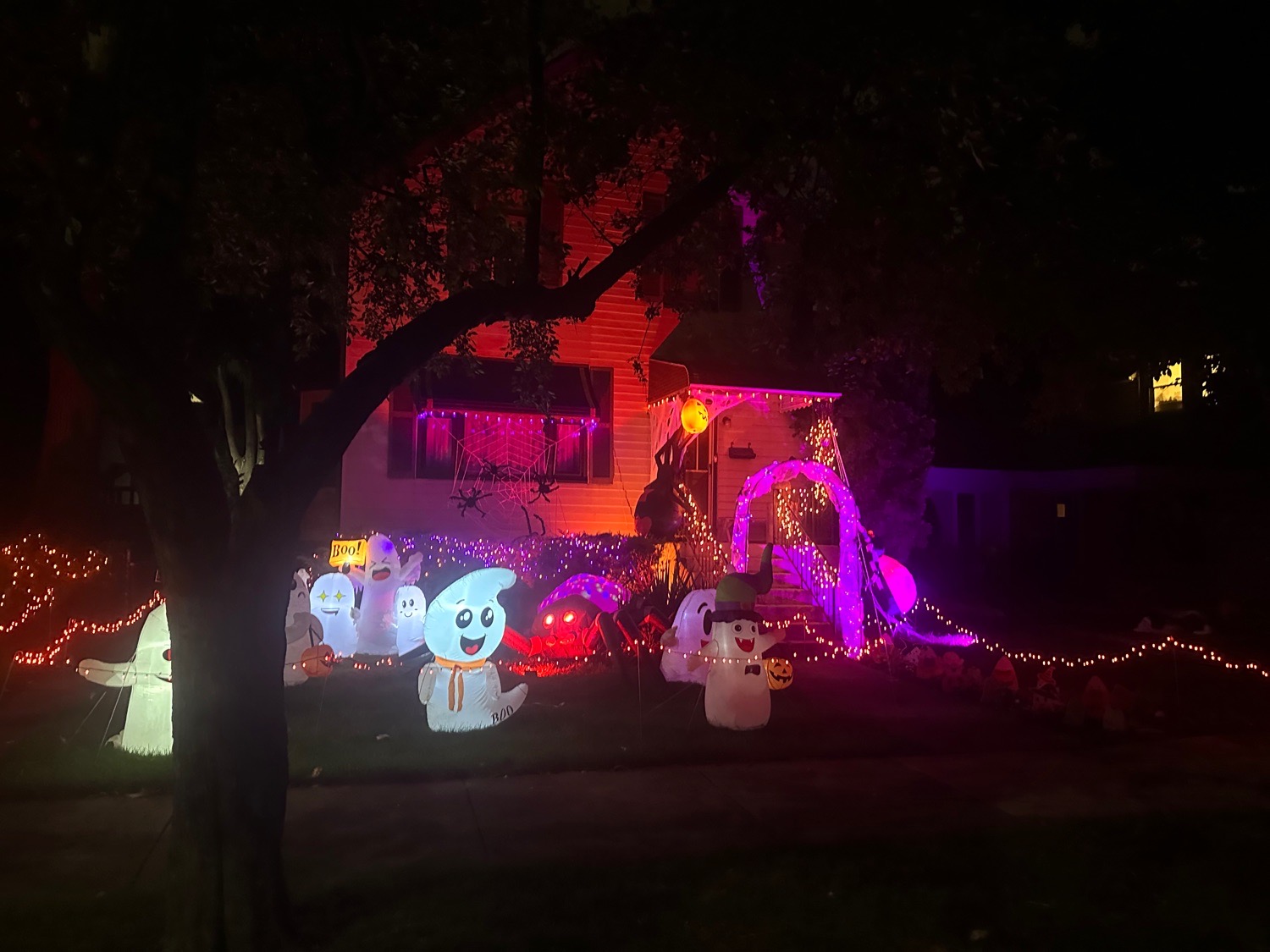 the Friendly House