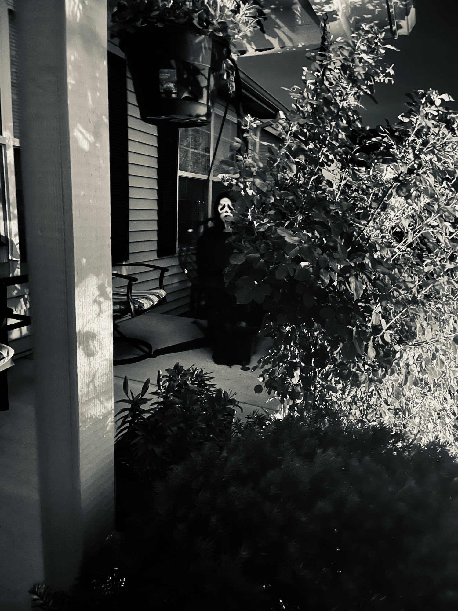Mockingbird Manor