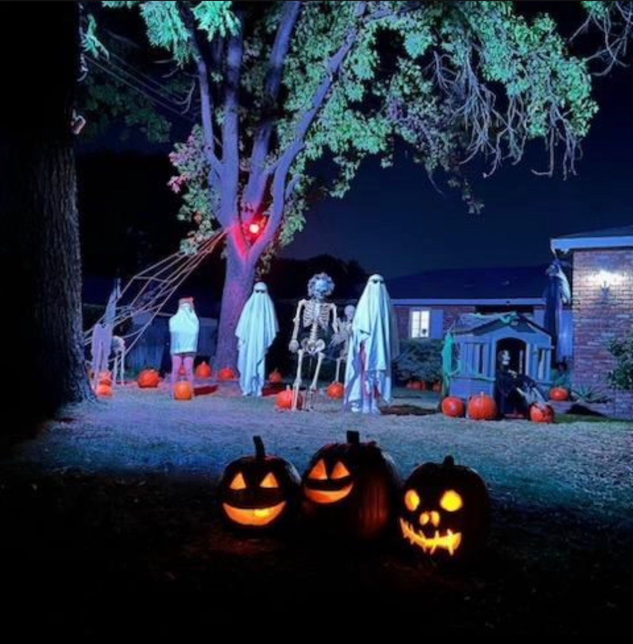 skeleton yard