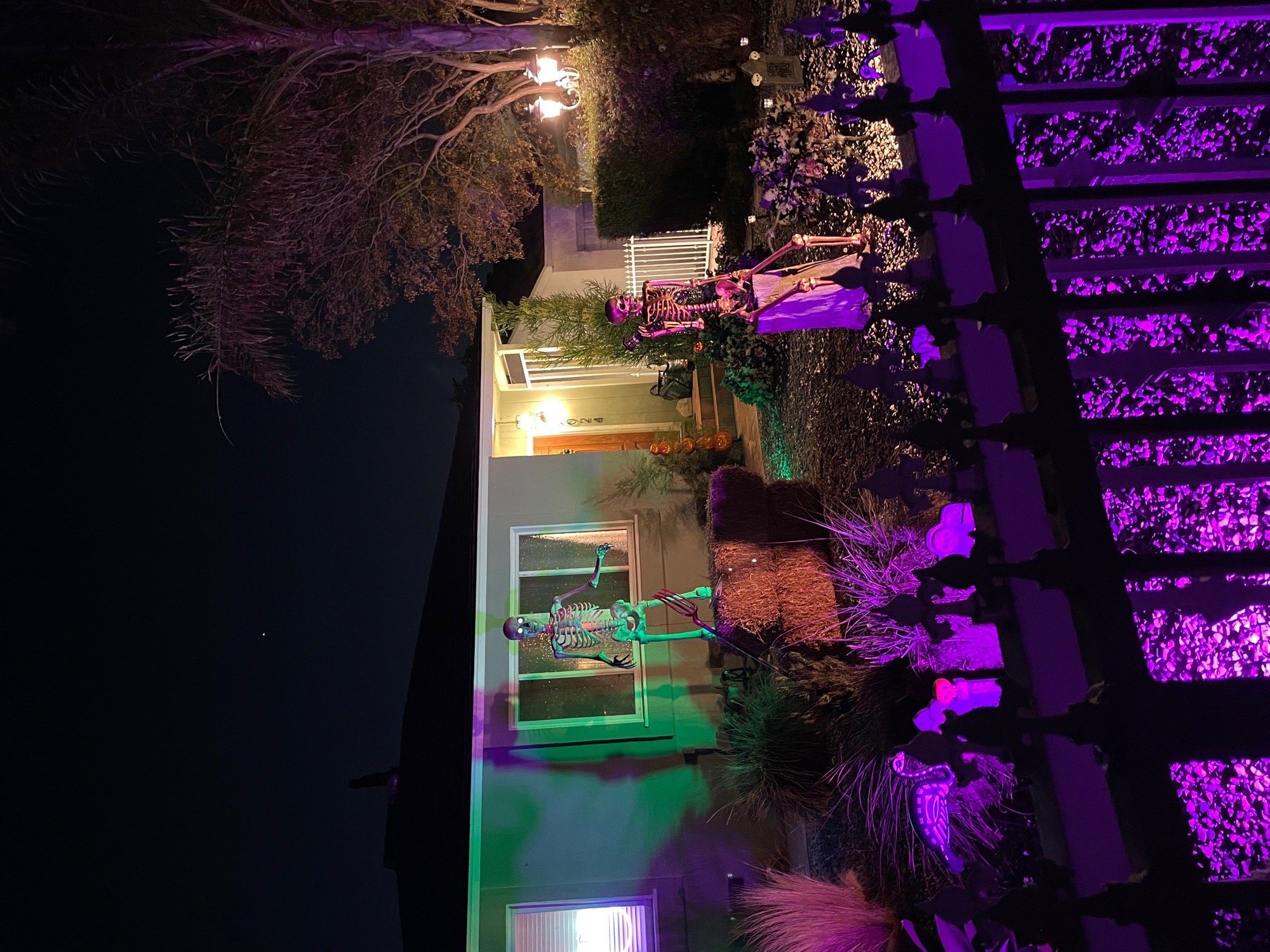 little spooky house