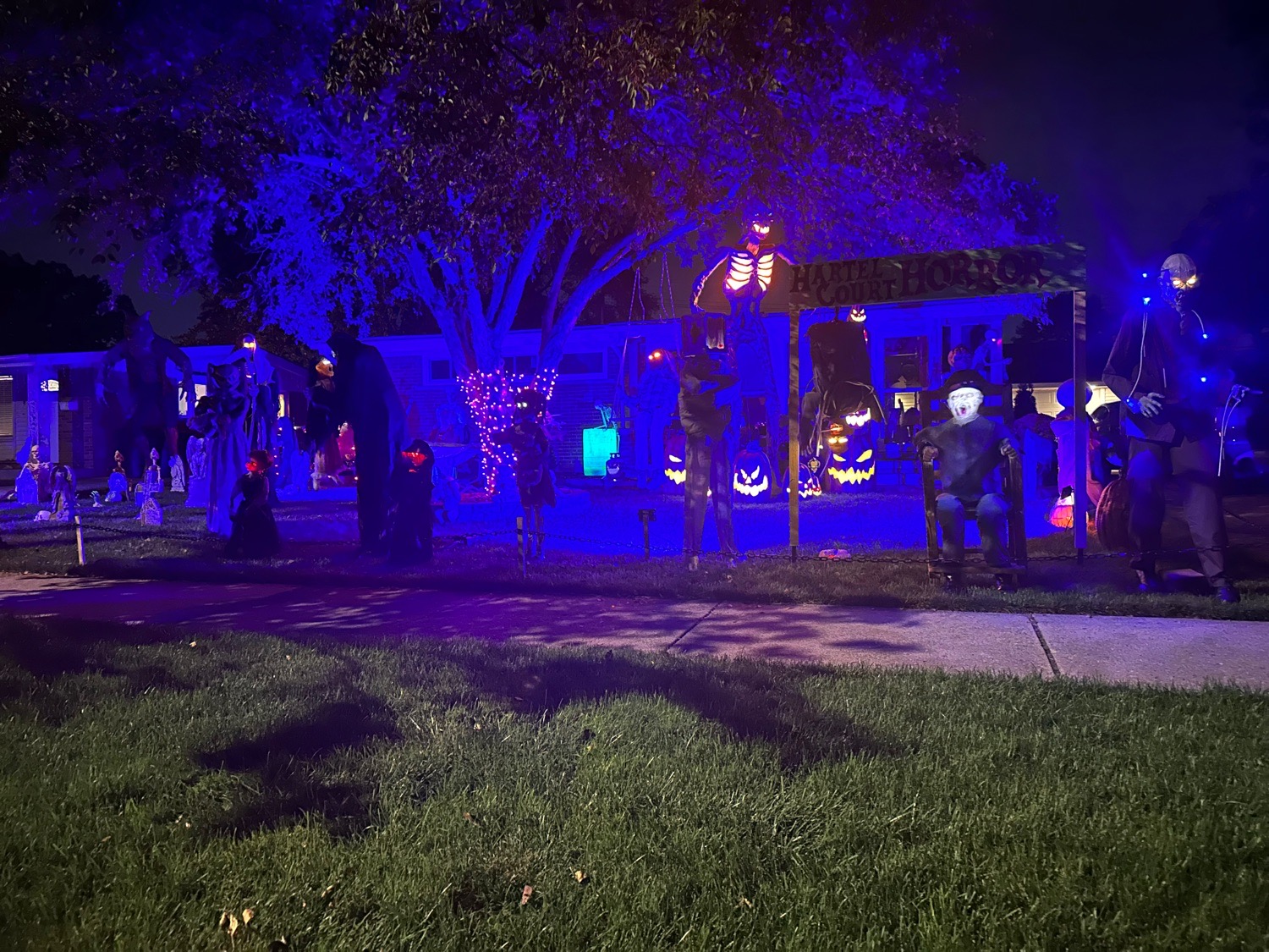 Hartel Ct Horror