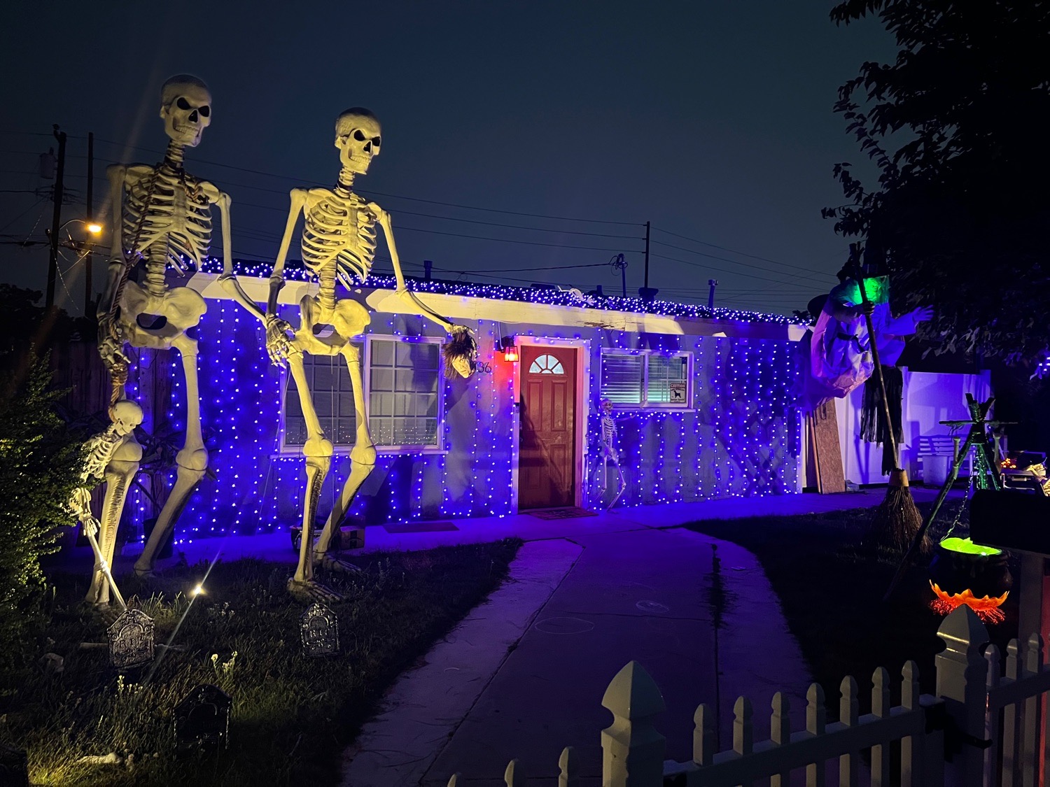 skeletons