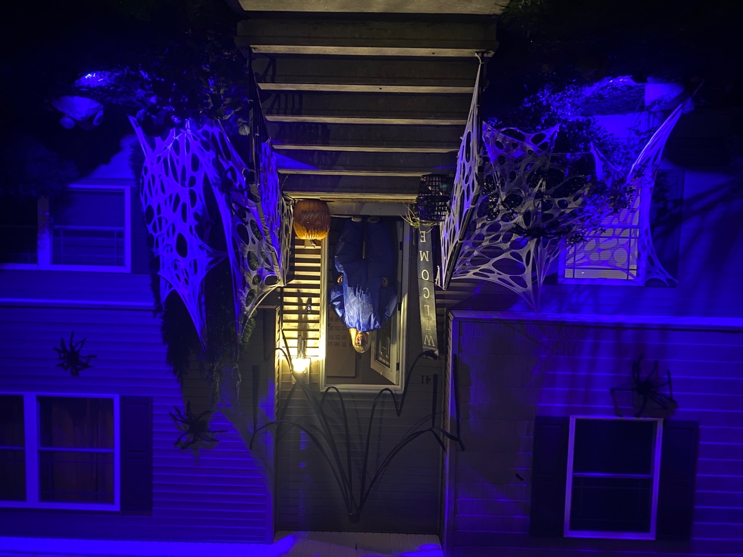 Arachnid Manor in Chicopee, MA