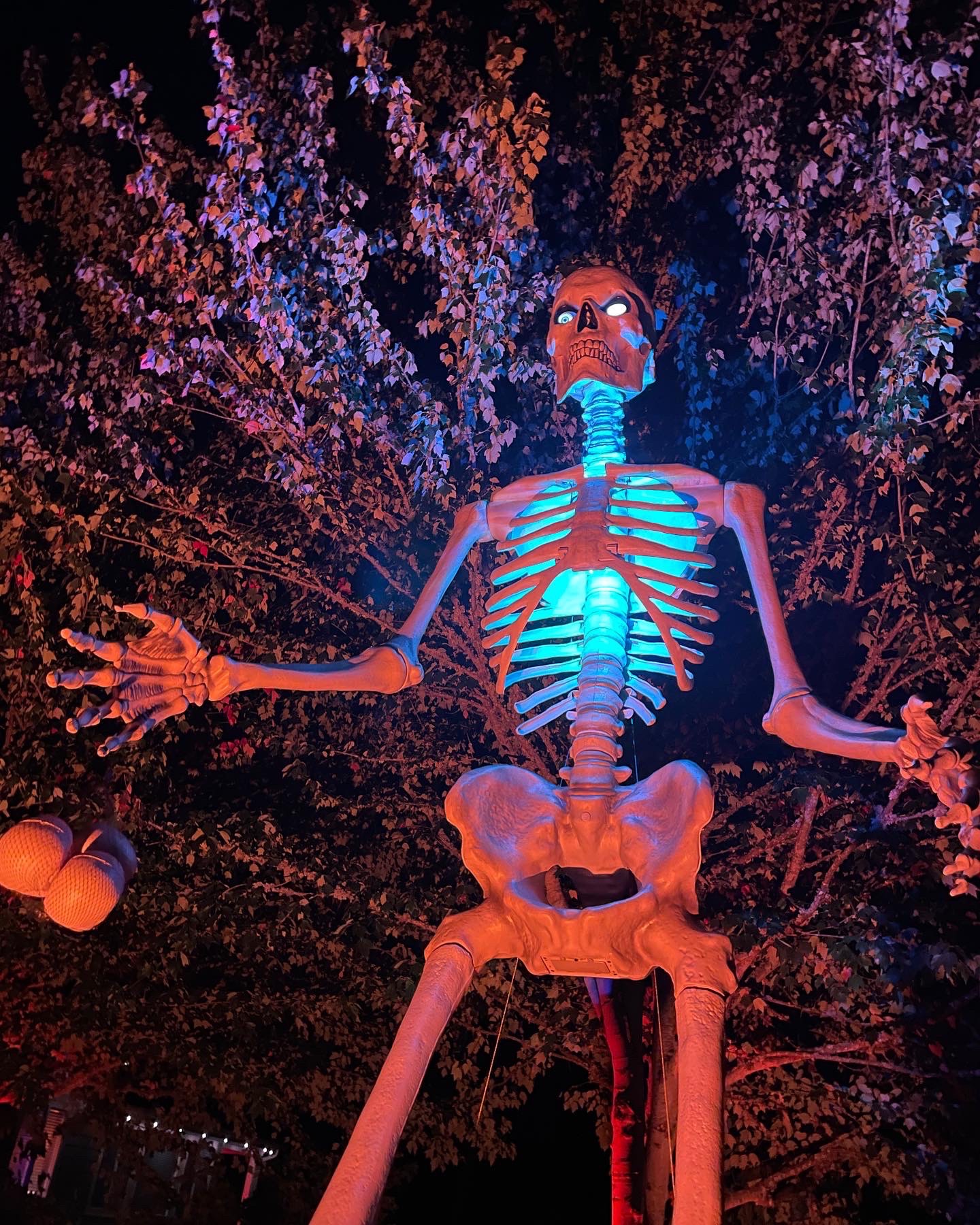 house haunt