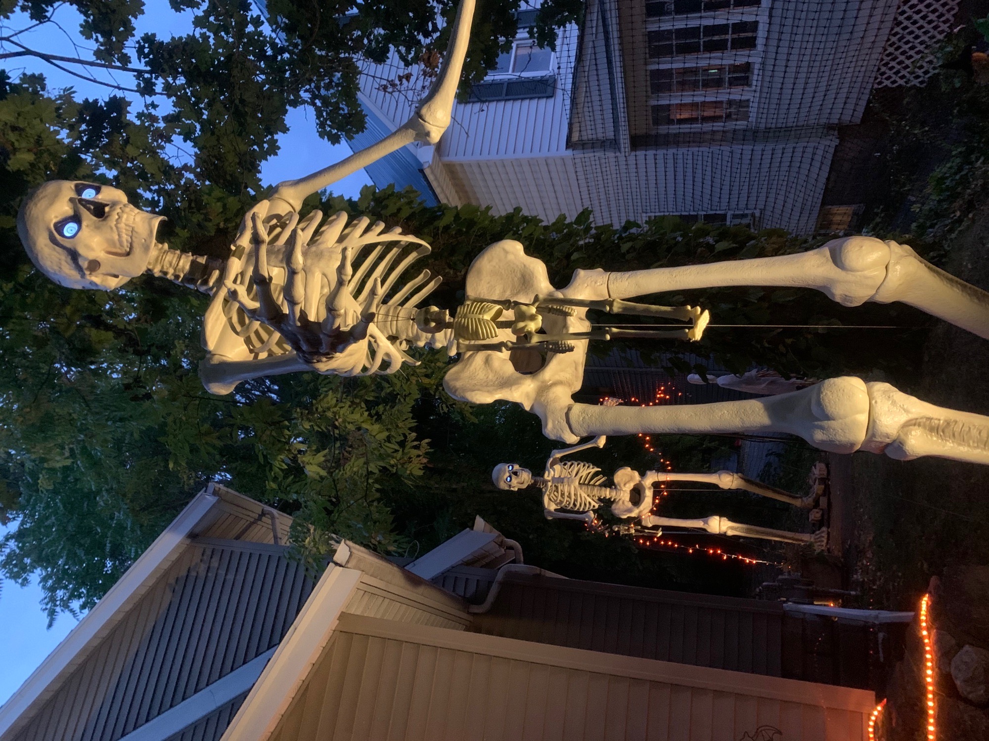 12ft Skelly and Friends on Boo-som Road!