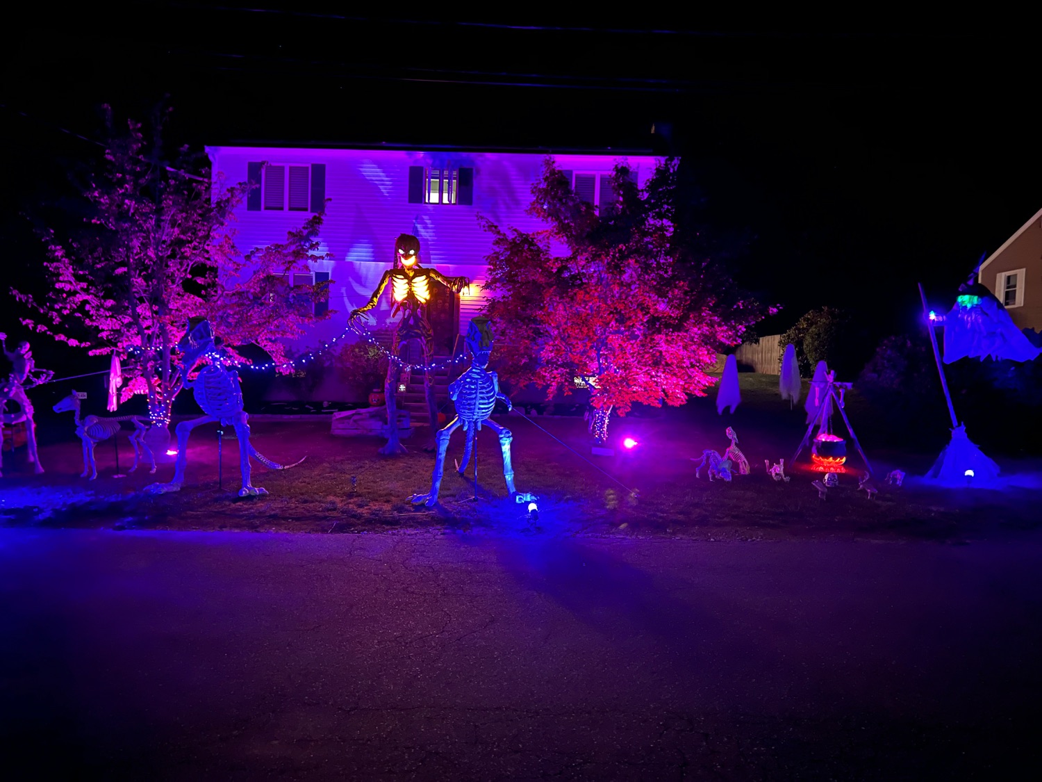 Kings Horror