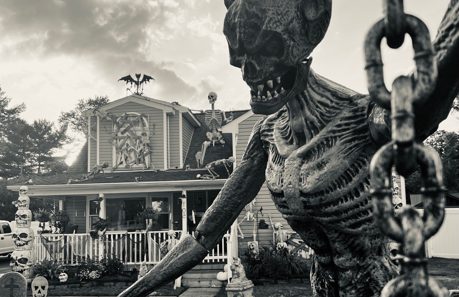 Skeleton House