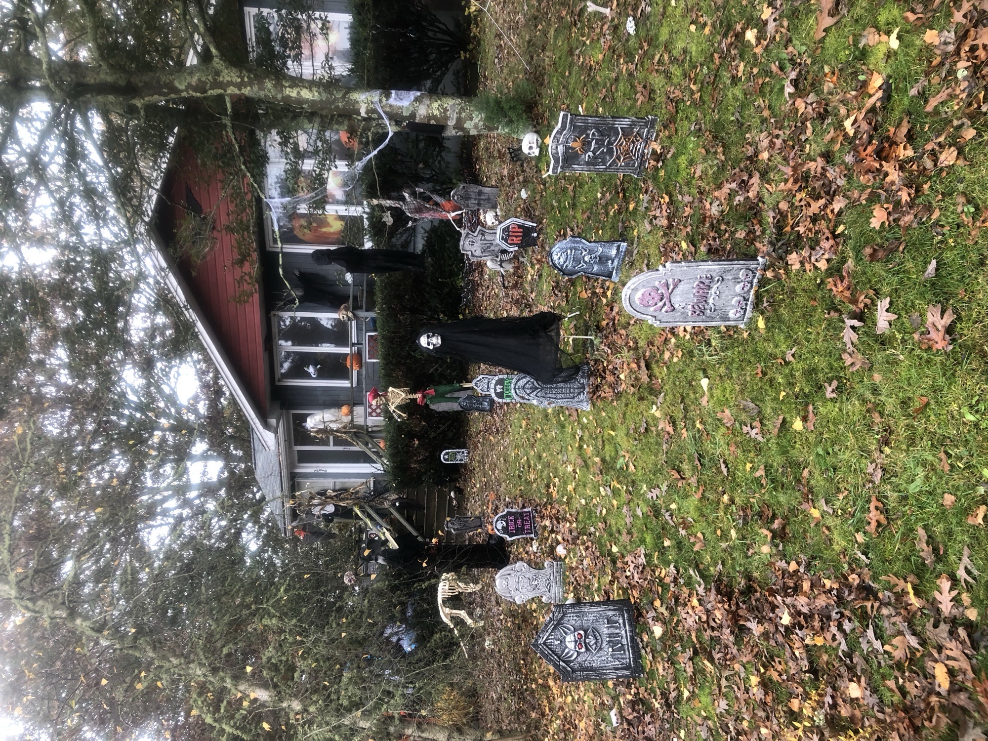 Skeleton Shores